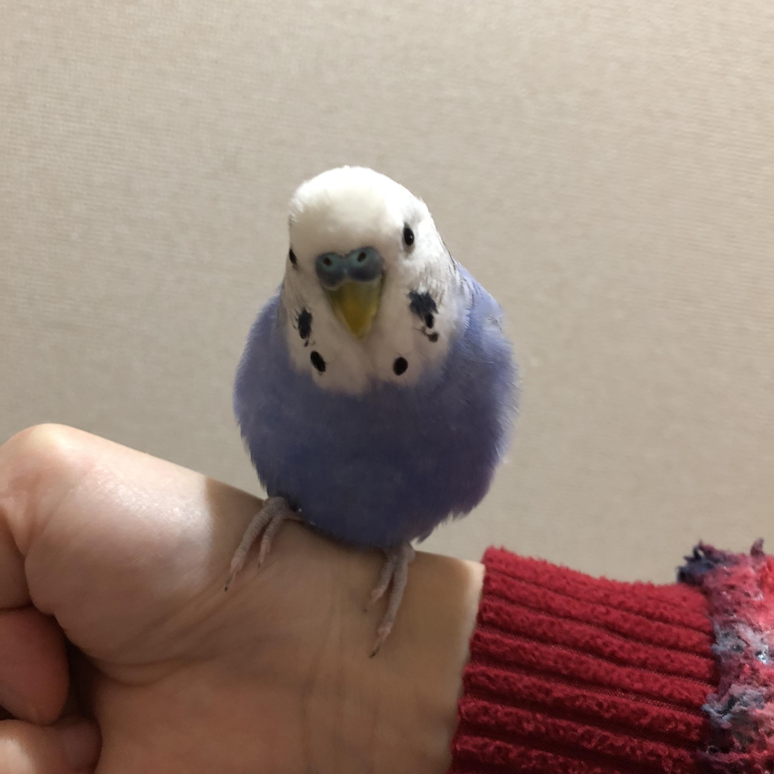 ユーザーの写真