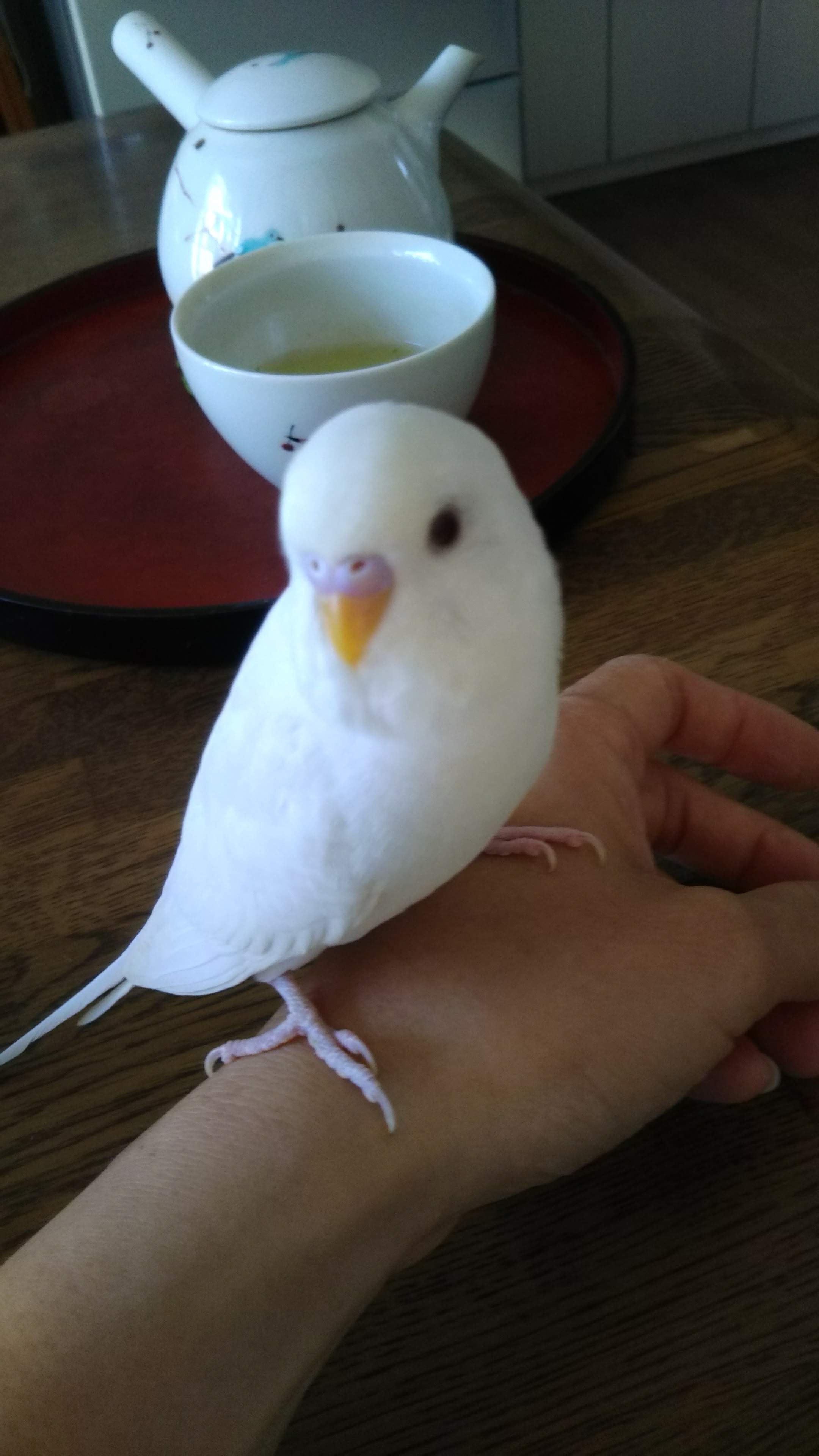 ユーザーの写真