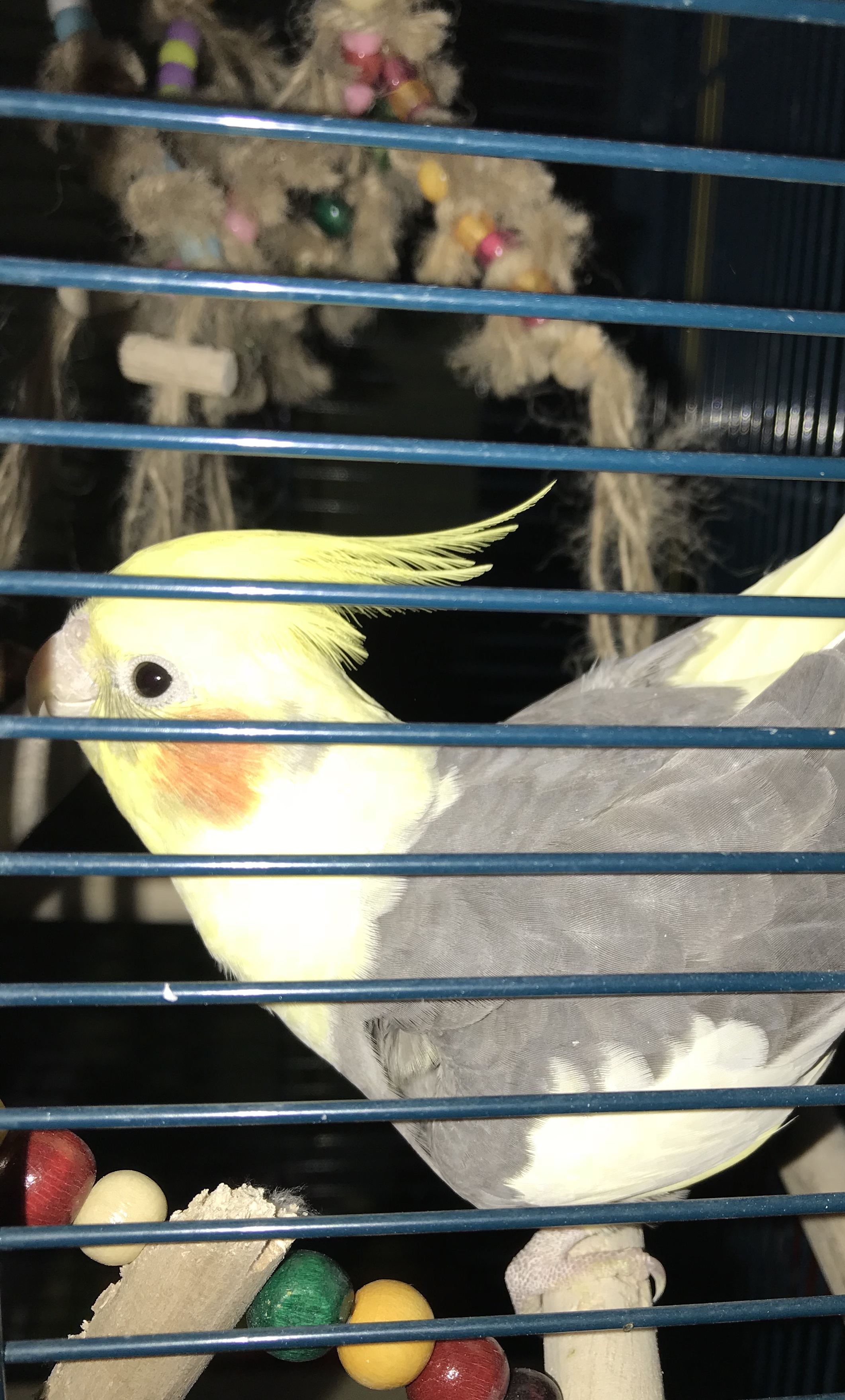 ユーザーの写真
