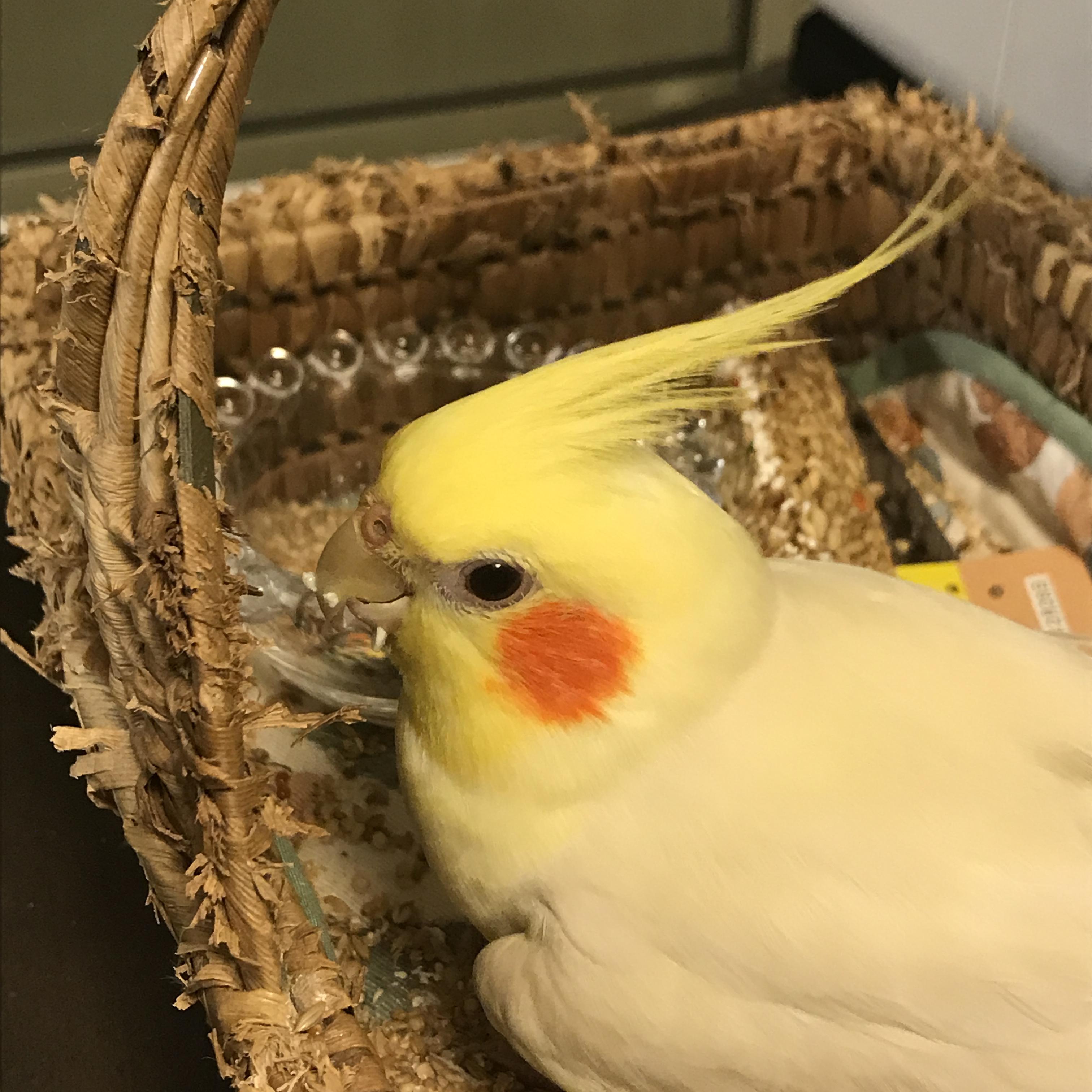 ユーザーの写真