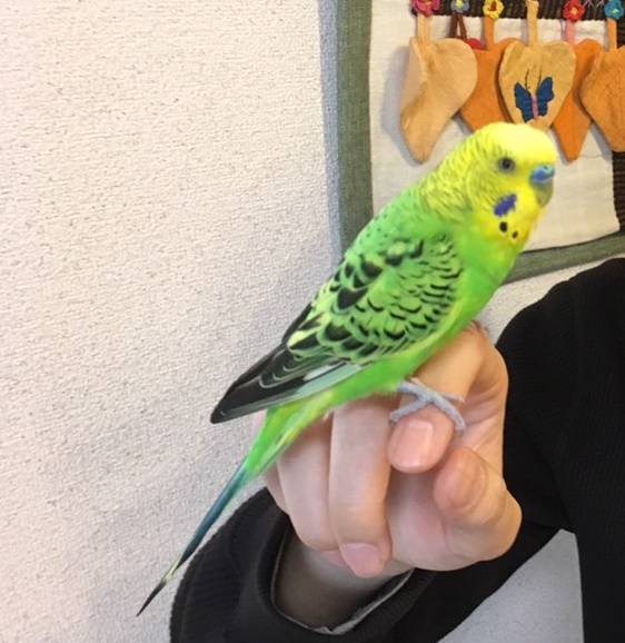 ユーザーの写真