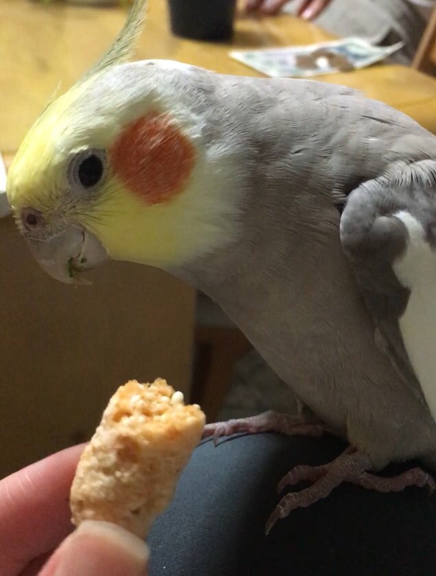 ユーザーの写真