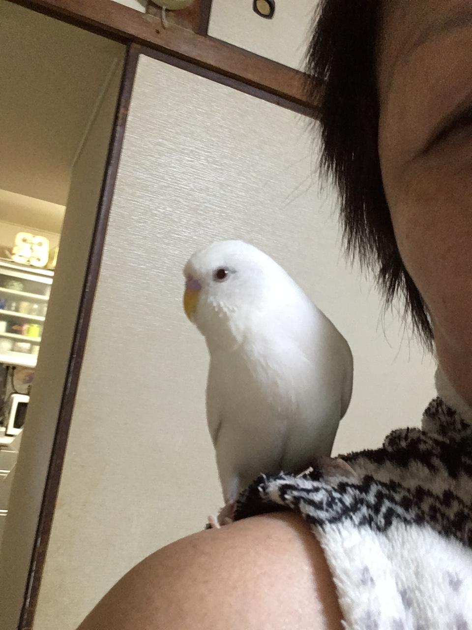 ユーザーの写真