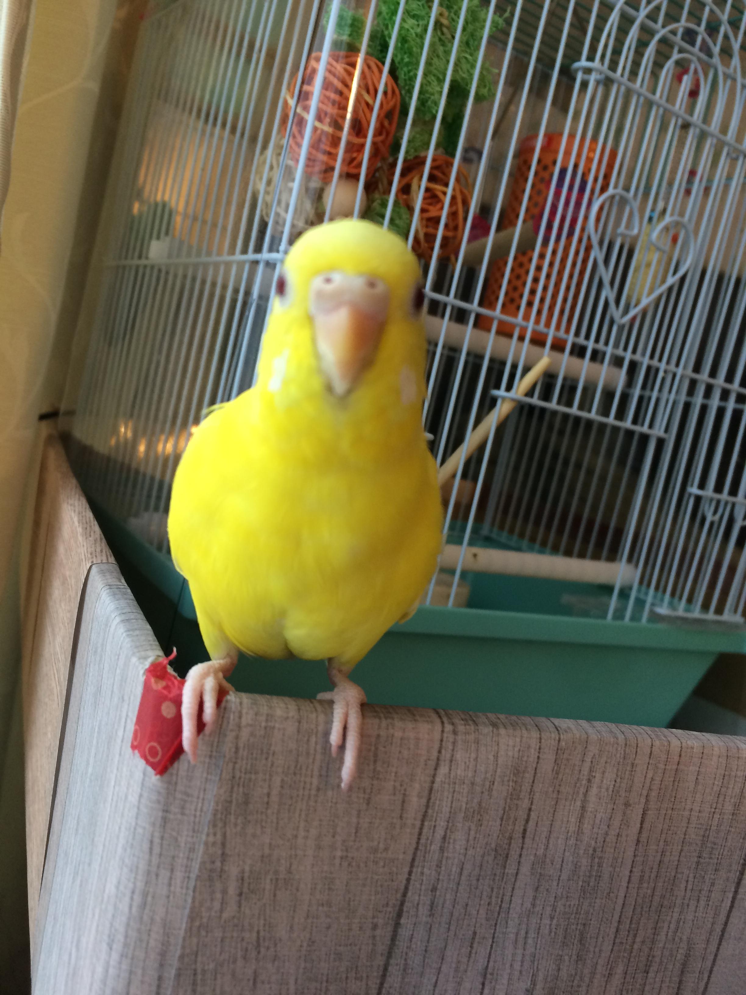ユーザーの写真