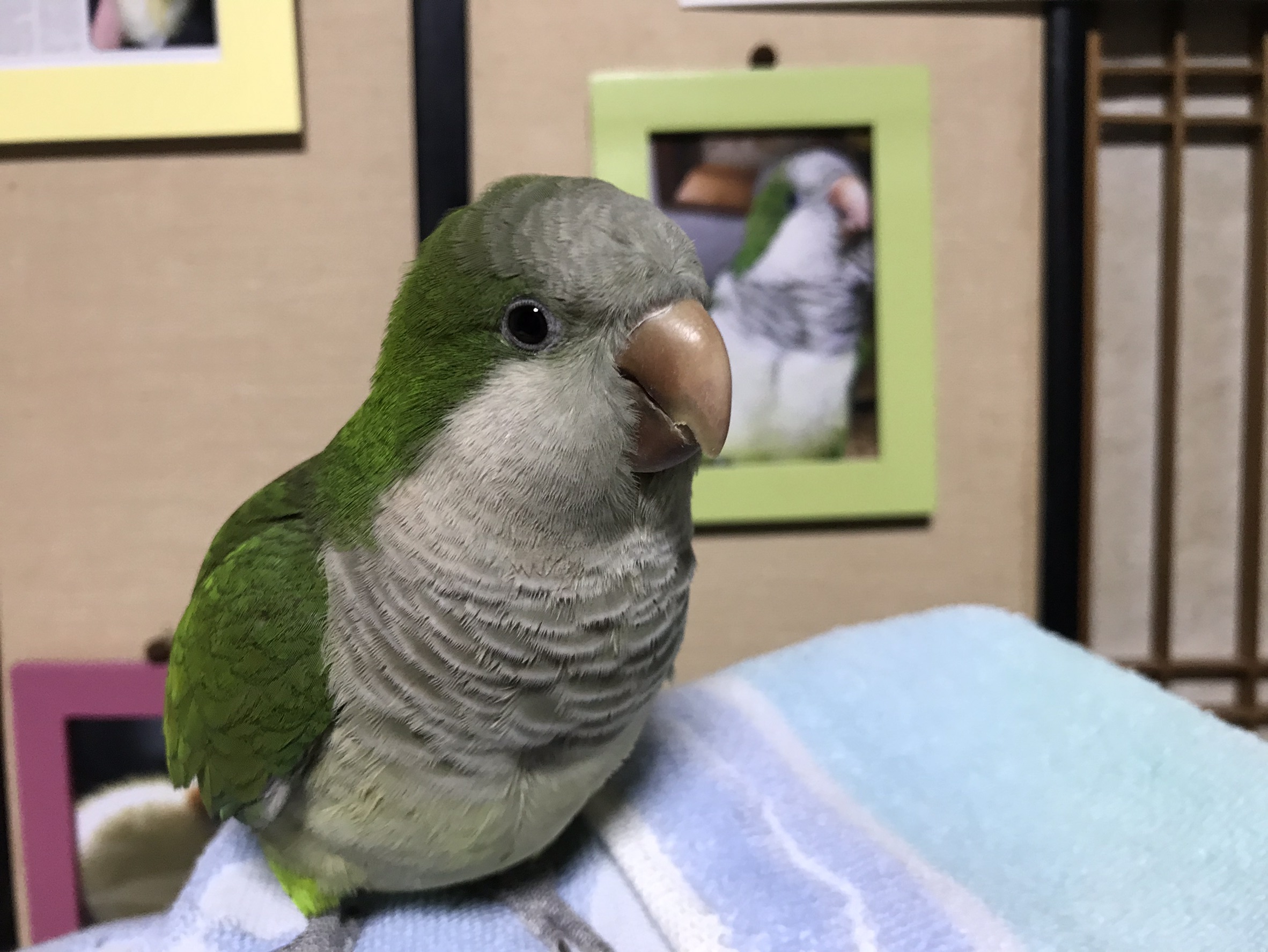 ユーザーの写真