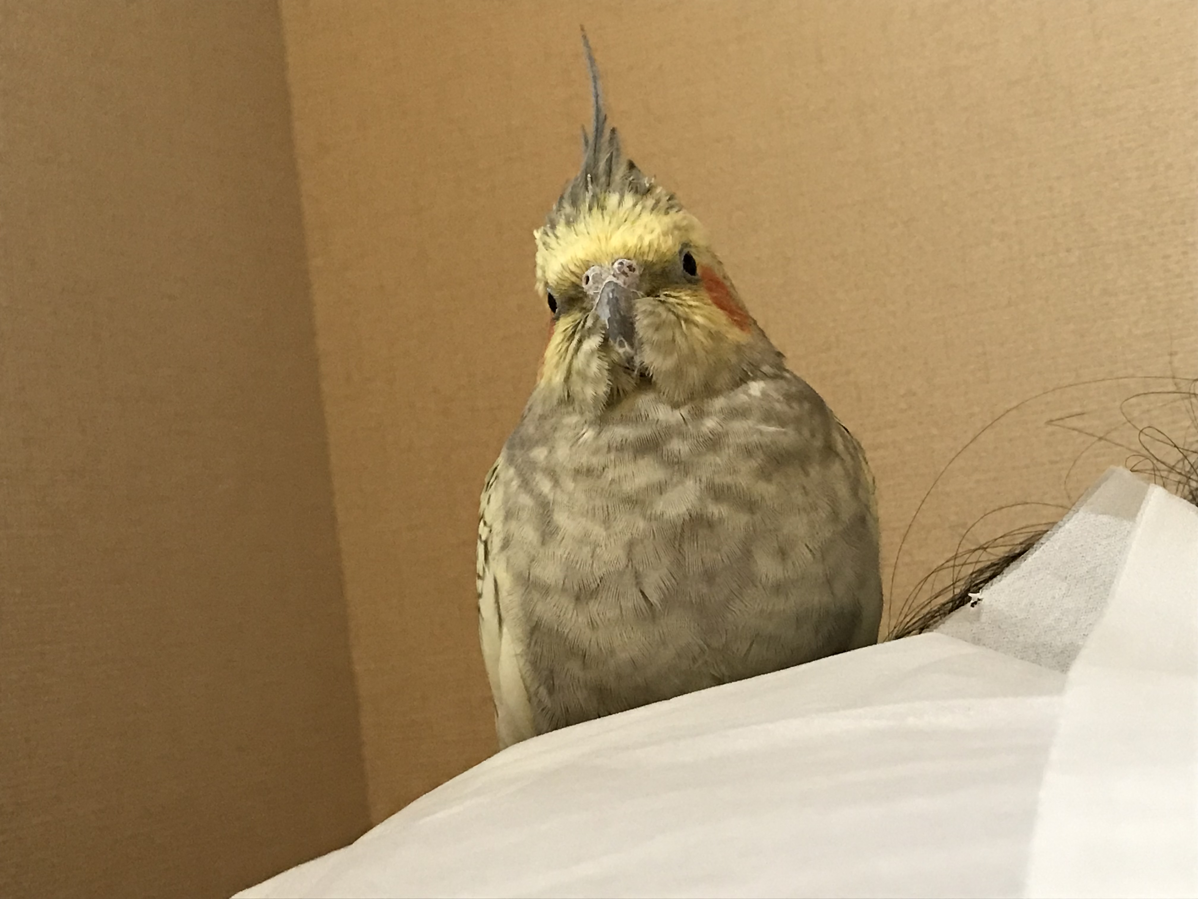 ユーザーの写真