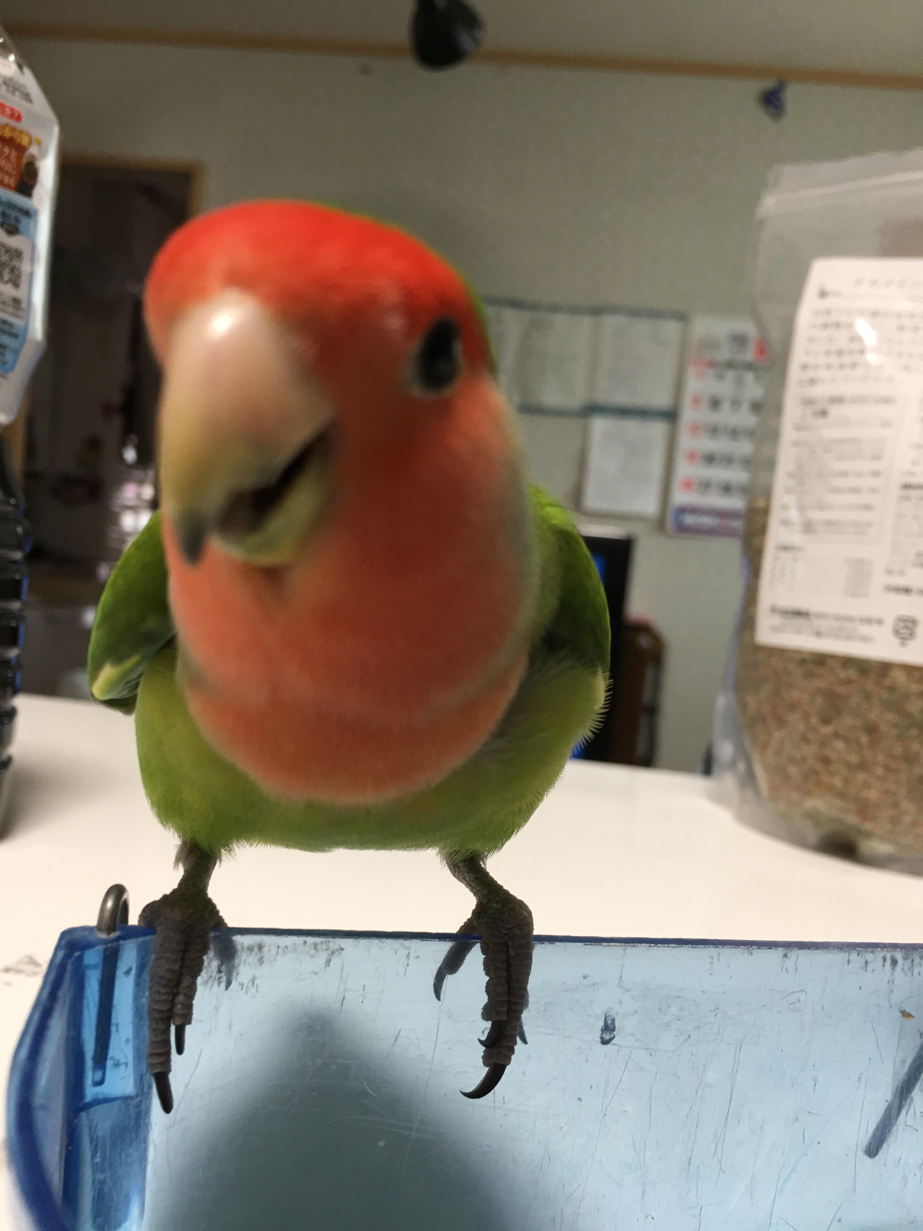 ユーザーの写真