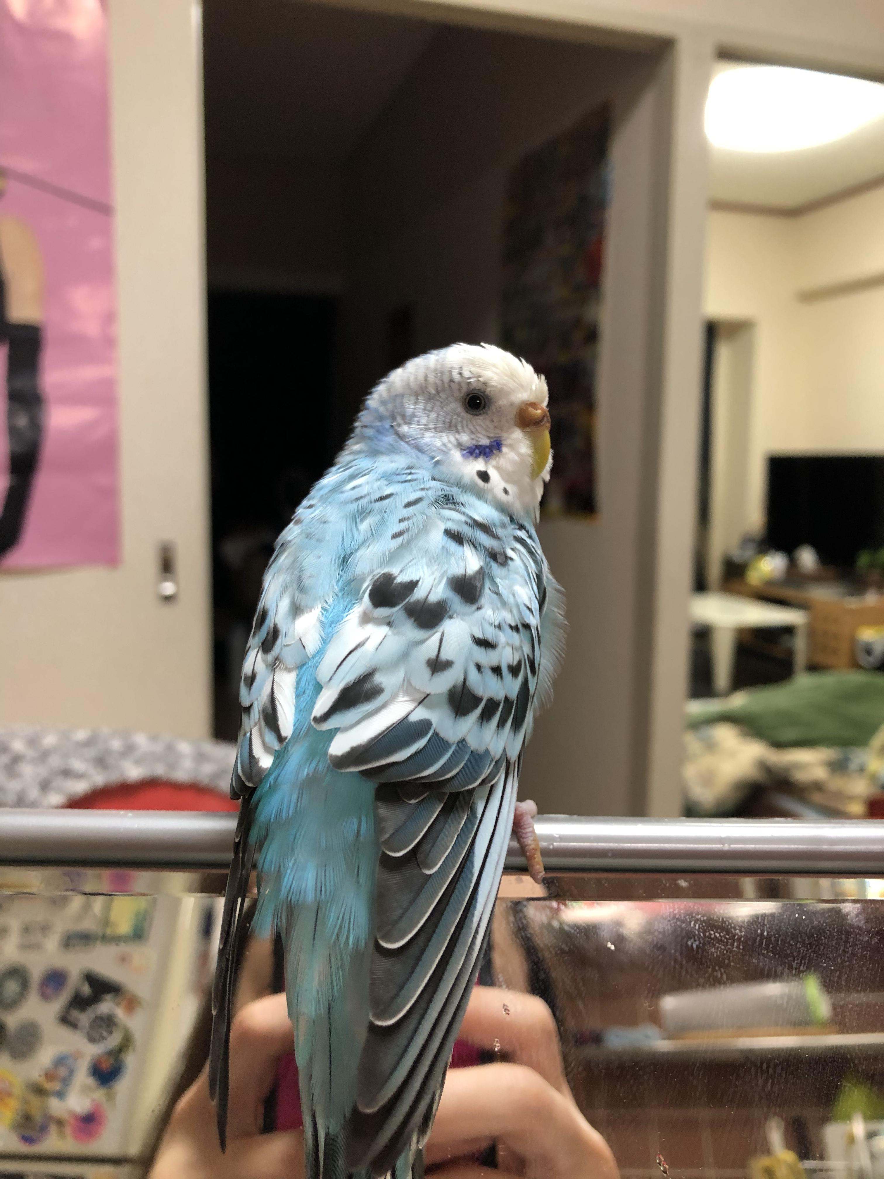 ユーザーの写真