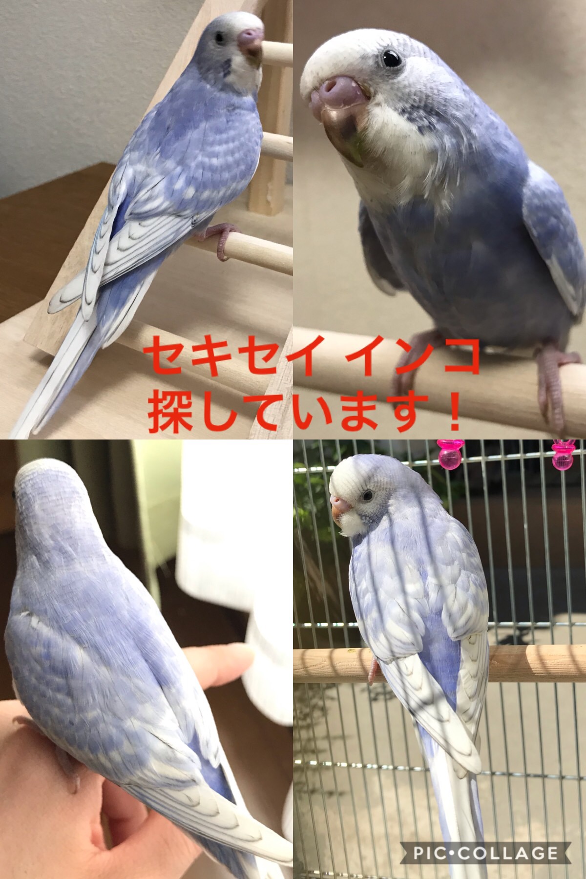 ユーザーの写真