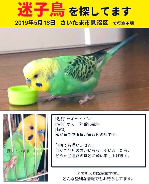 ユーザーの写真