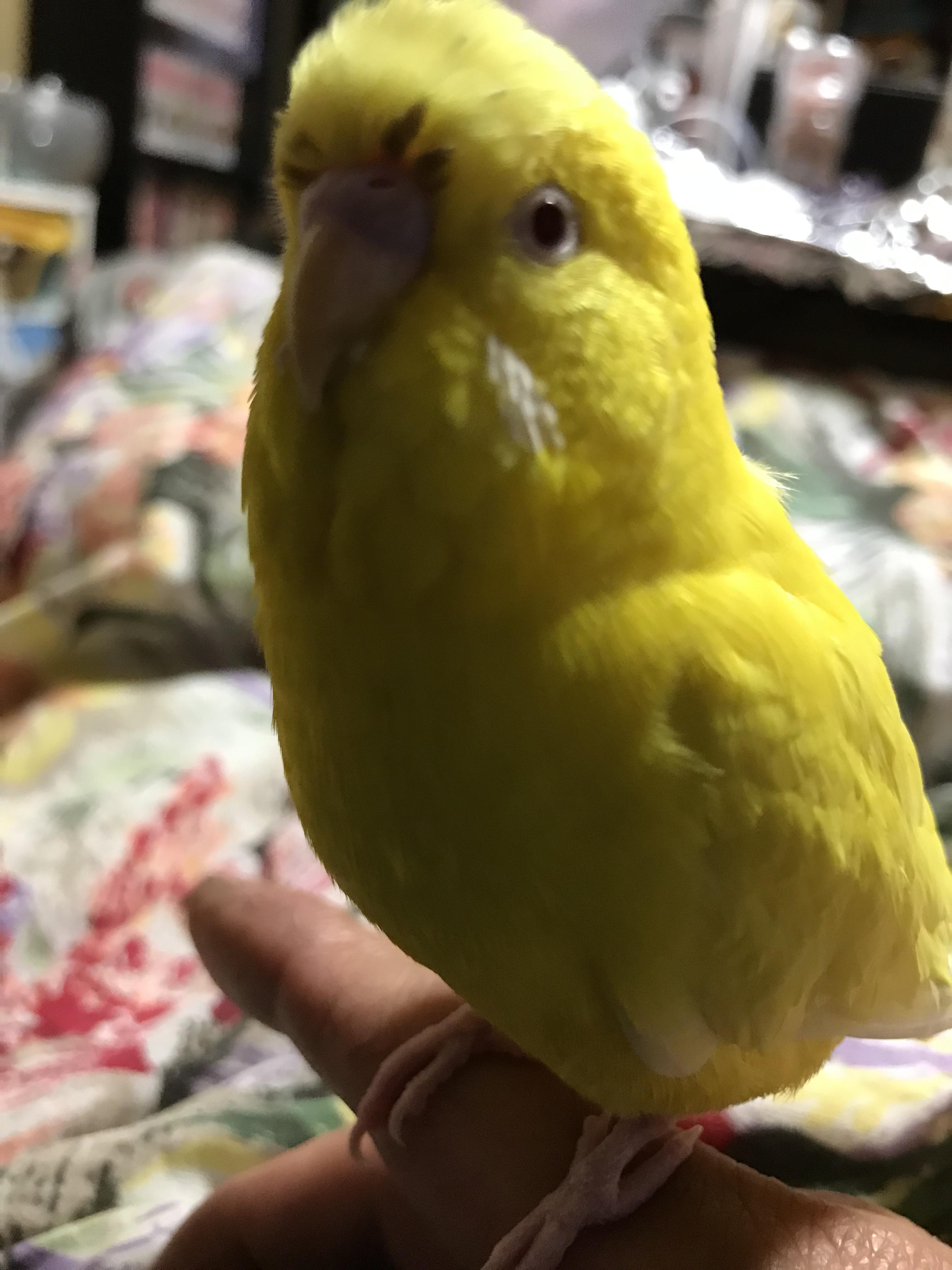 ユーザーの写真