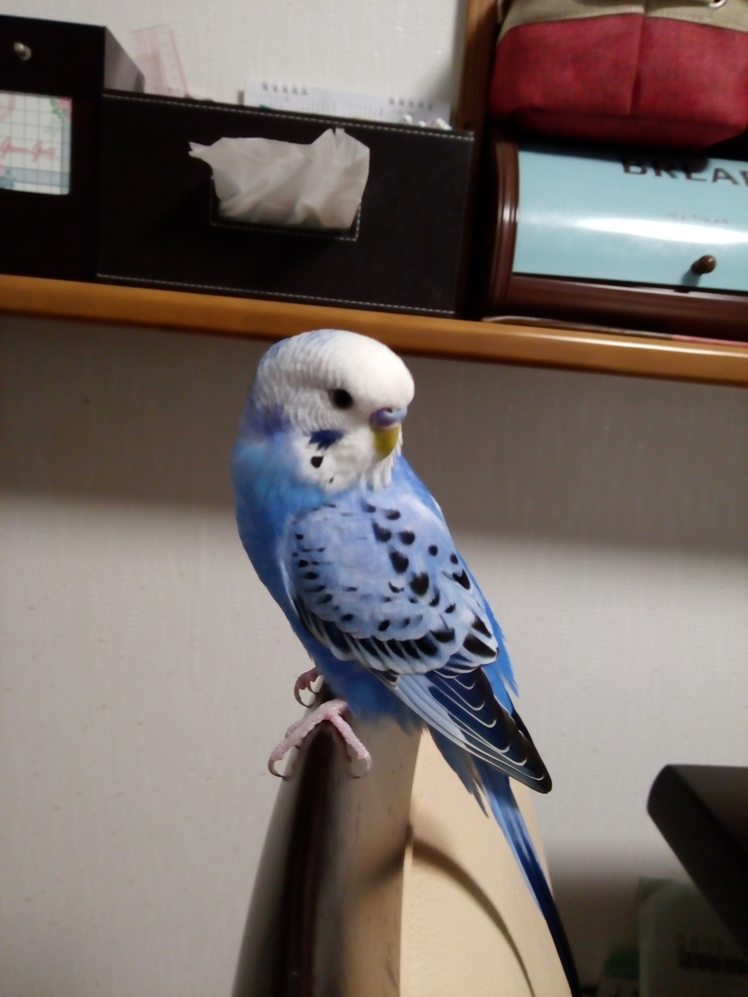 ユーザーの写真