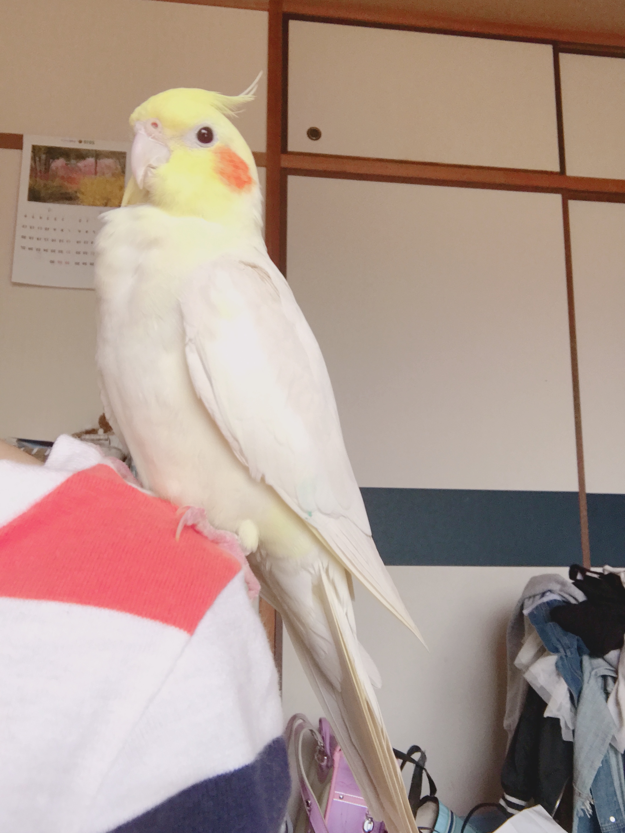 ユーザーの写真