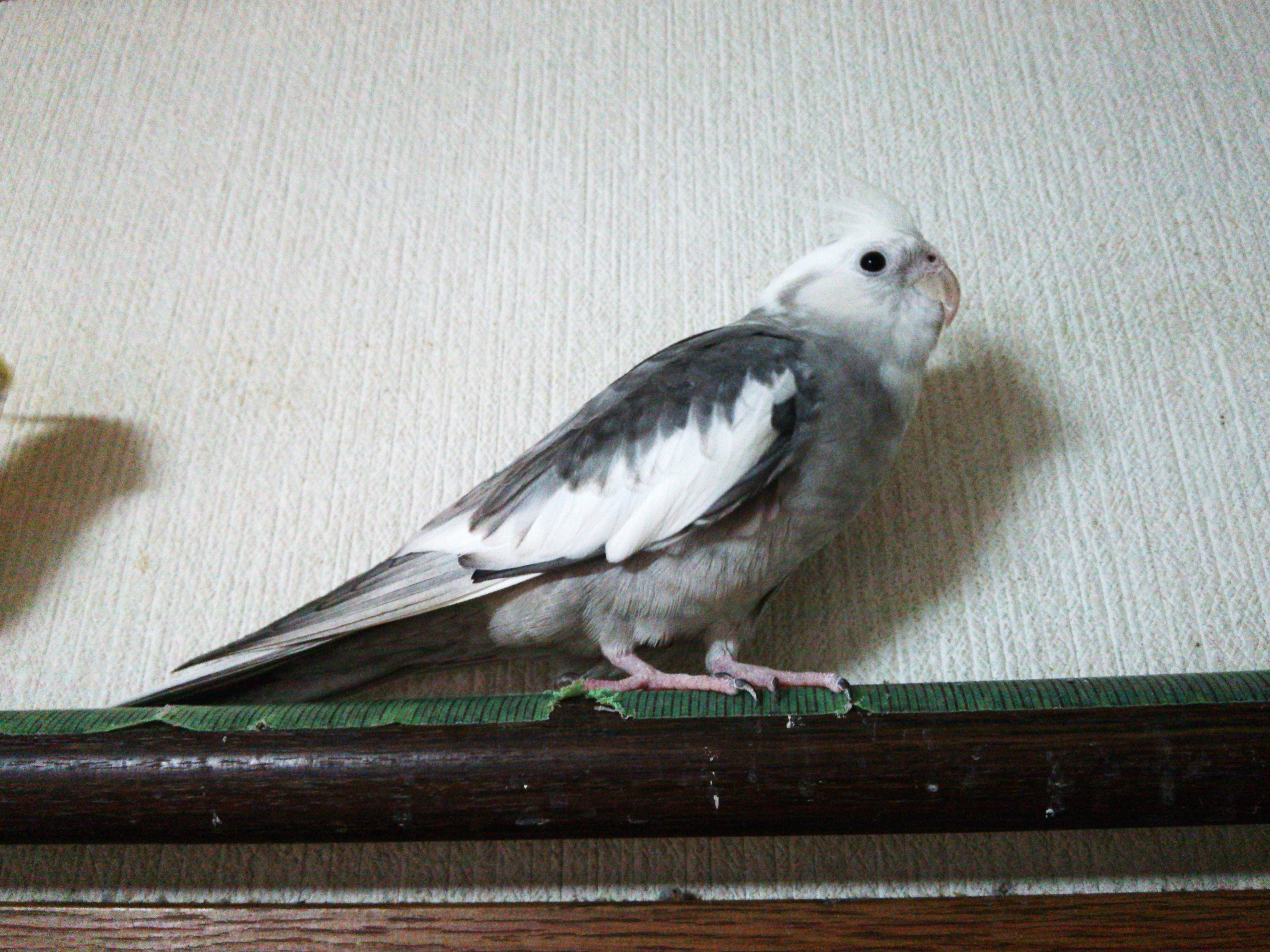ユーザーの写真