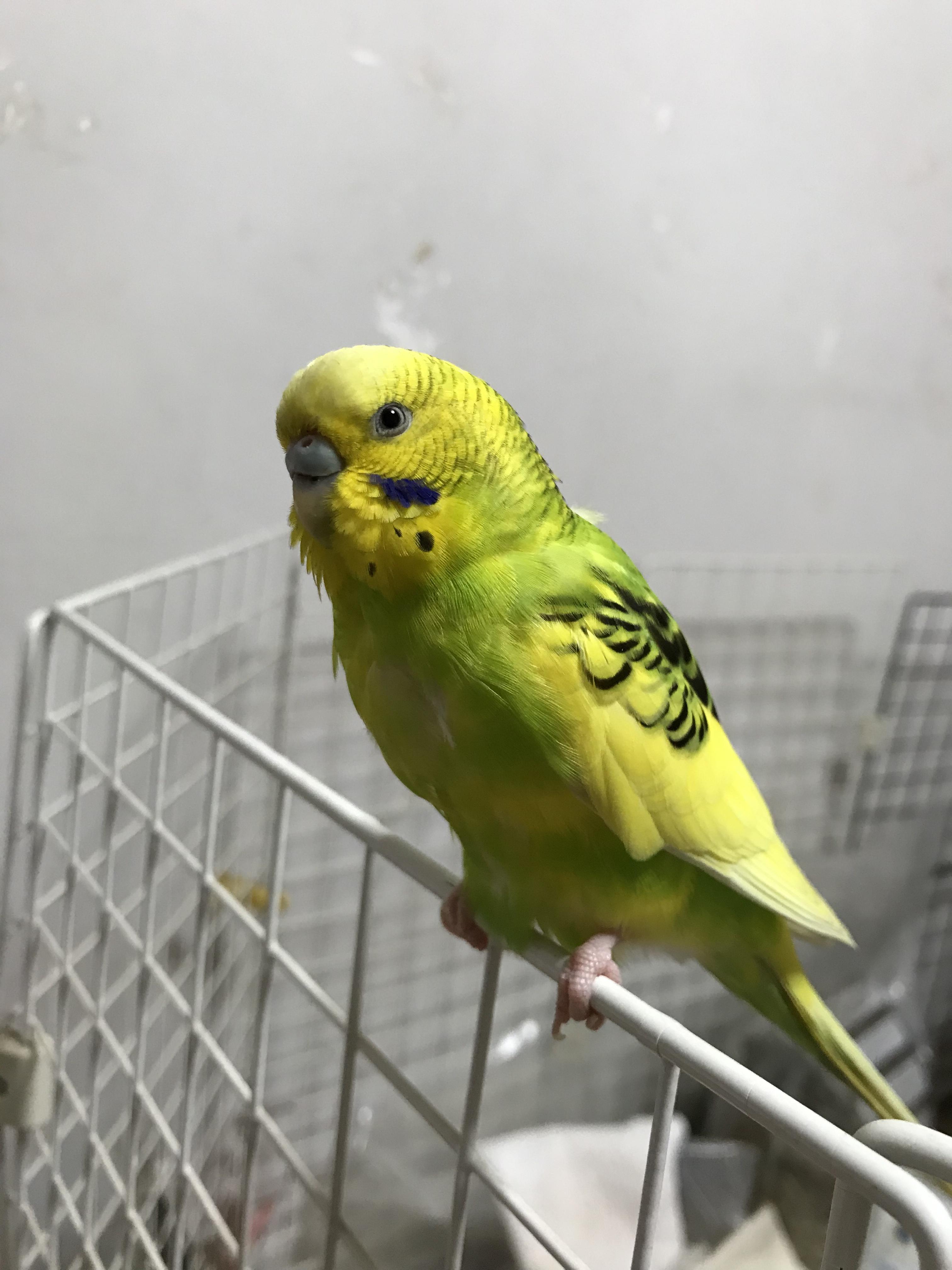 ユーザーの写真