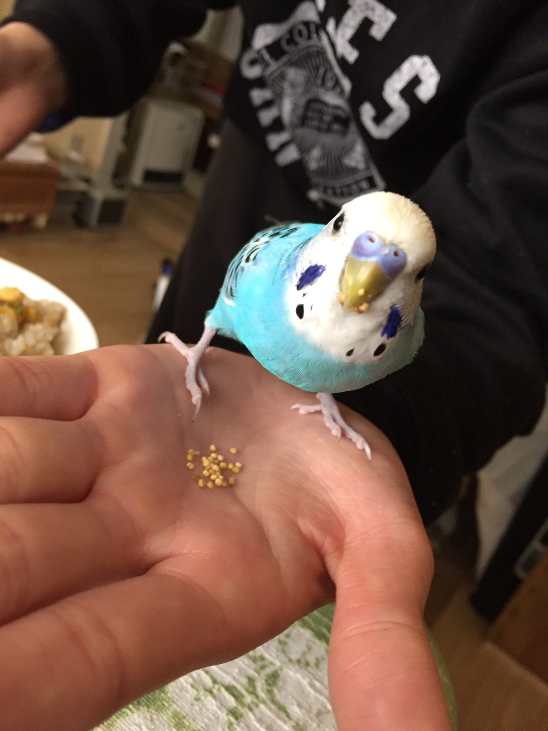 ユーザーの写真