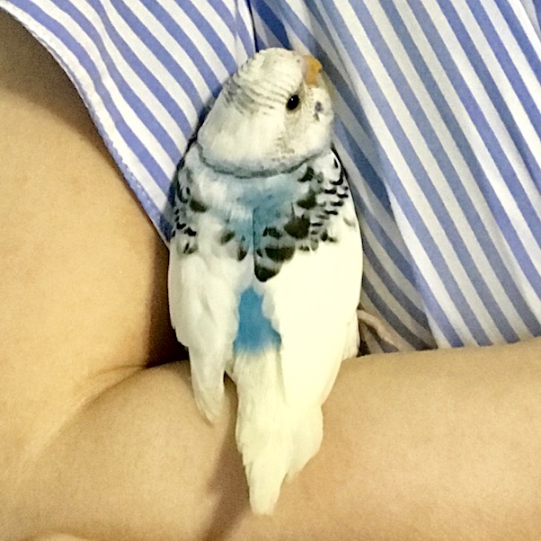 ユーザーの写真