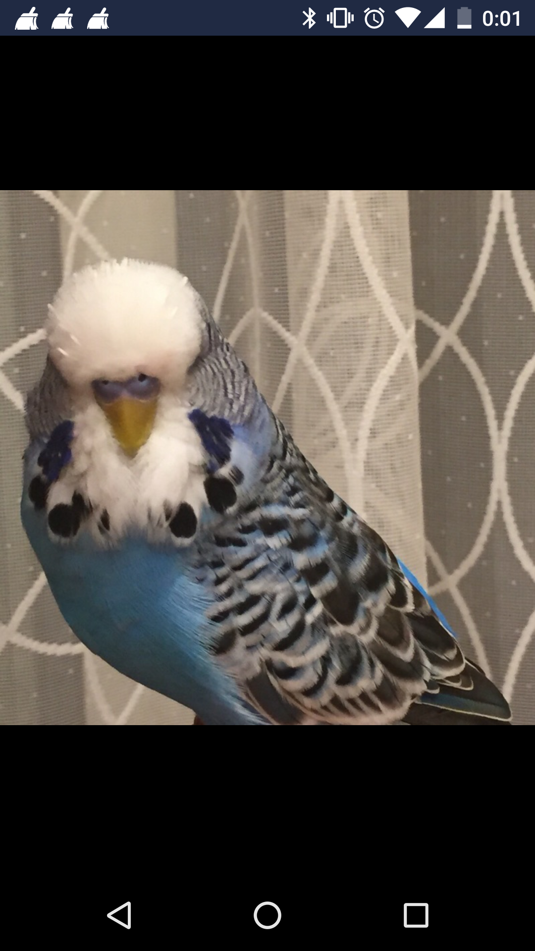ユーザーの写真