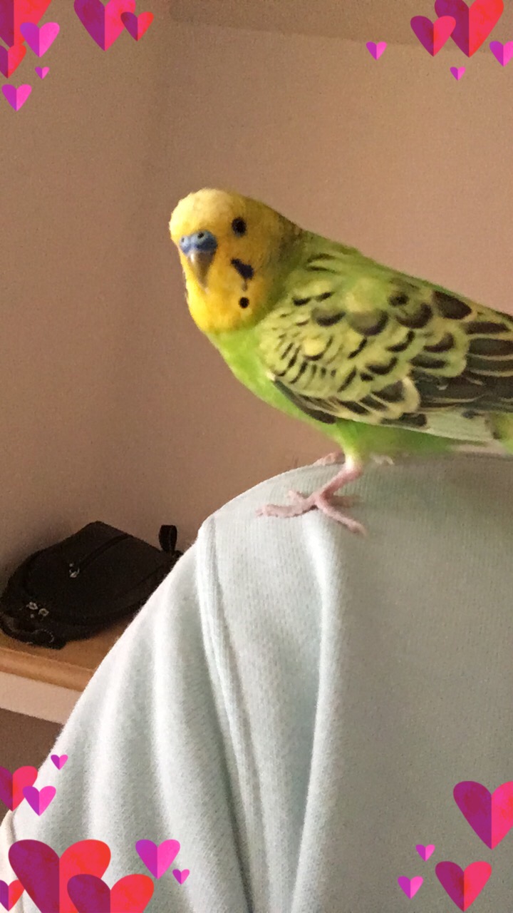 ユーザーの写真