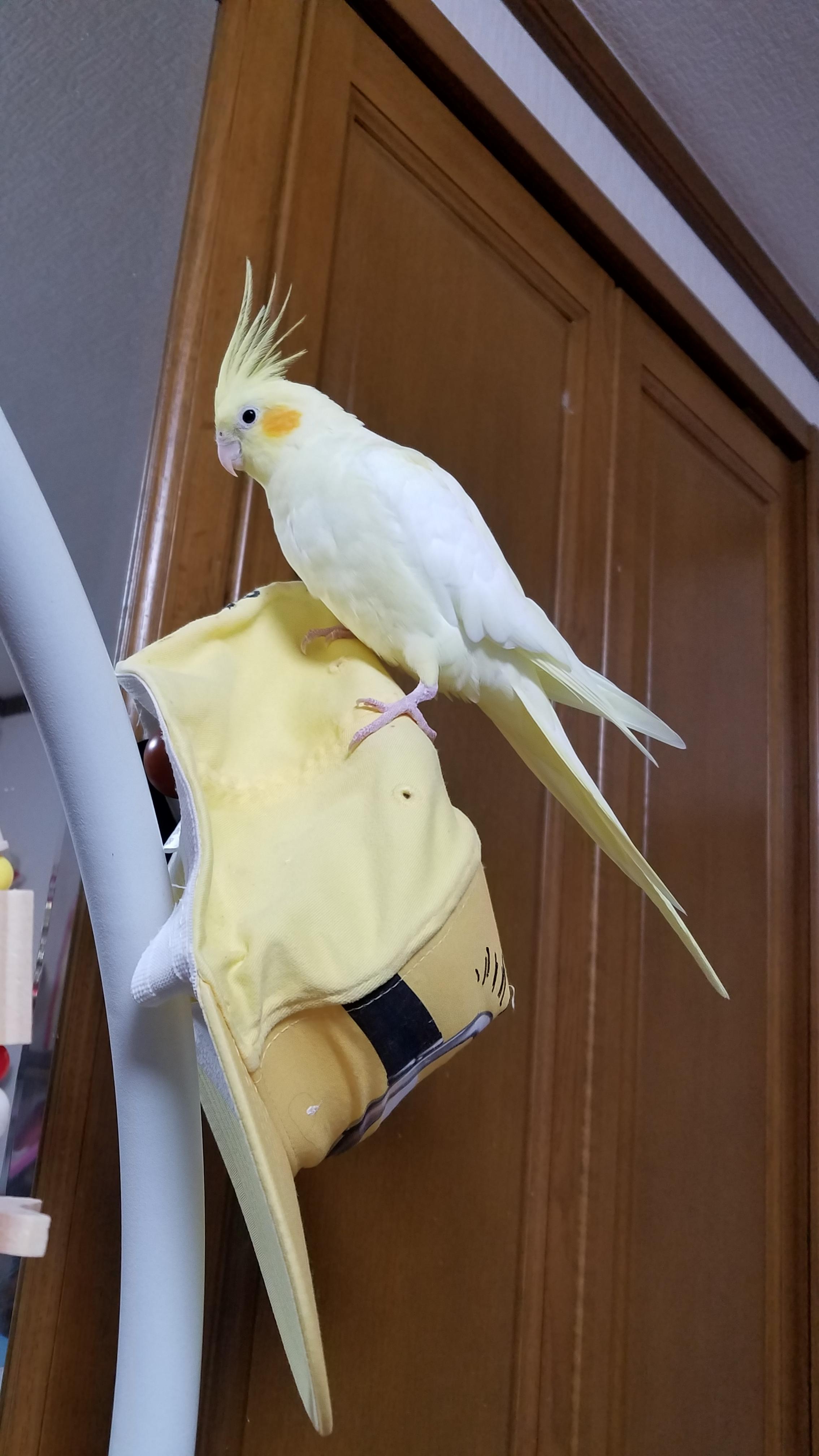 ユーザーの写真