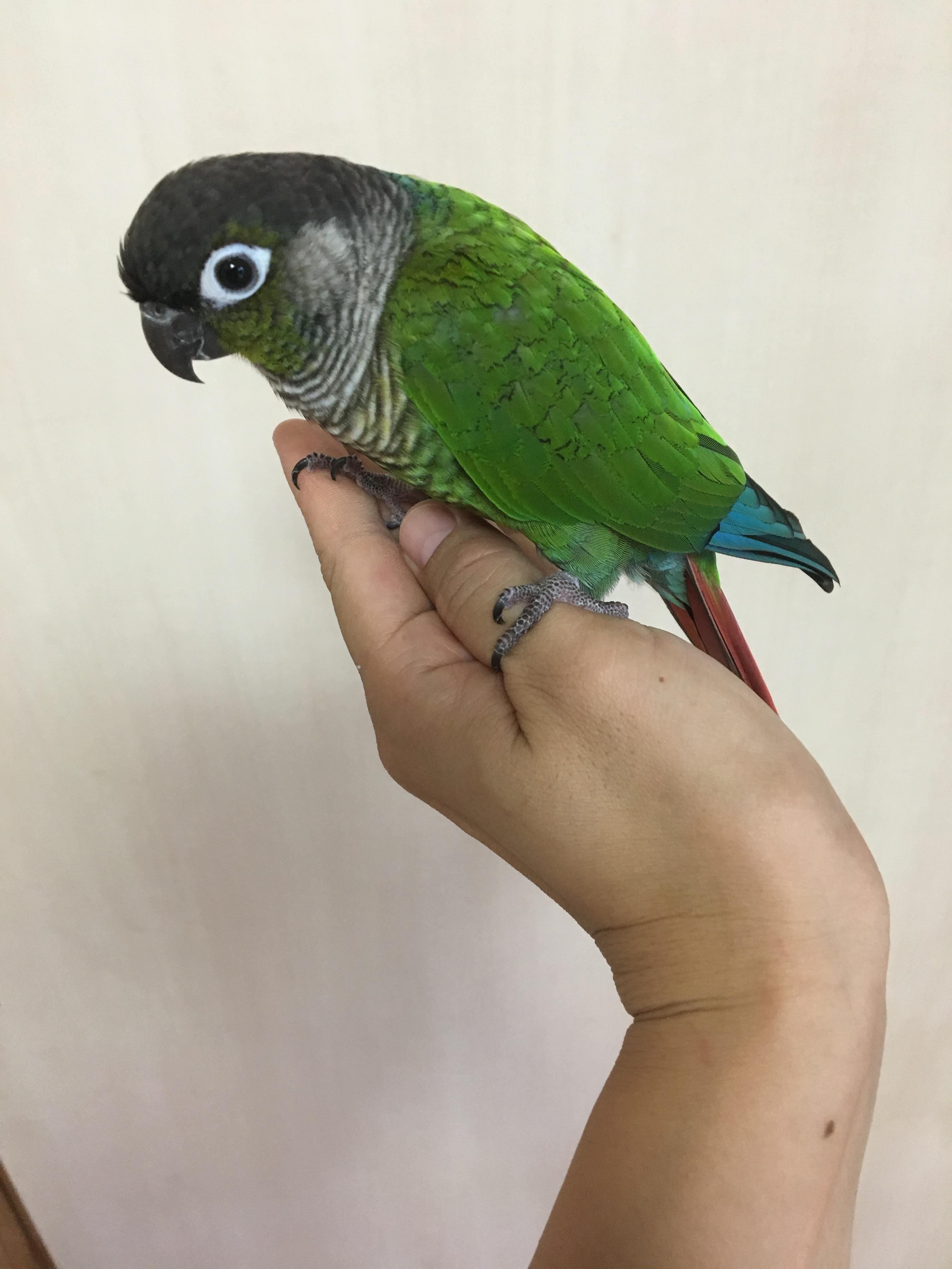 ユーザーの写真