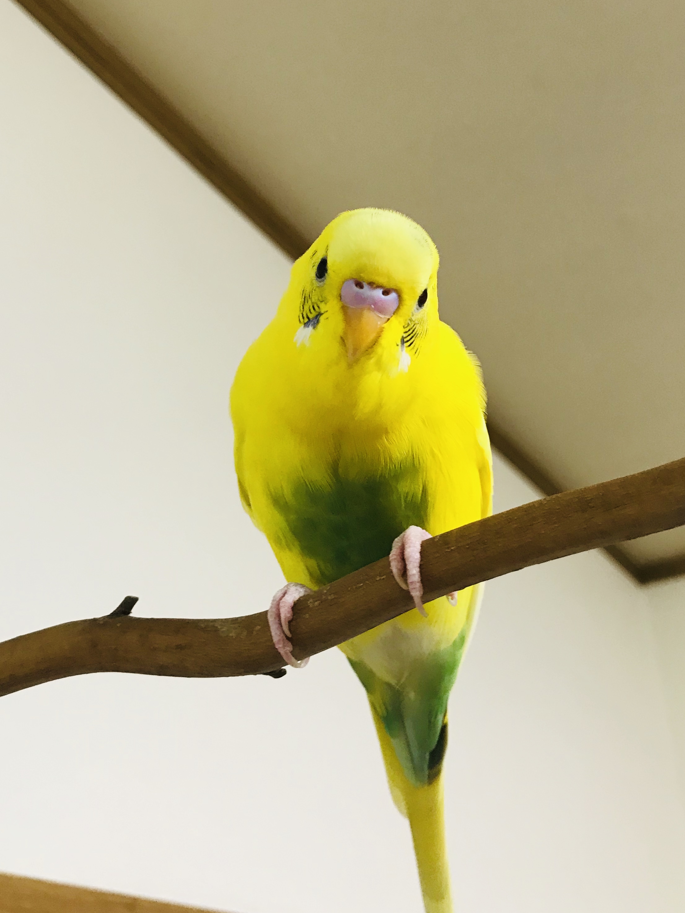 ユーザーの写真