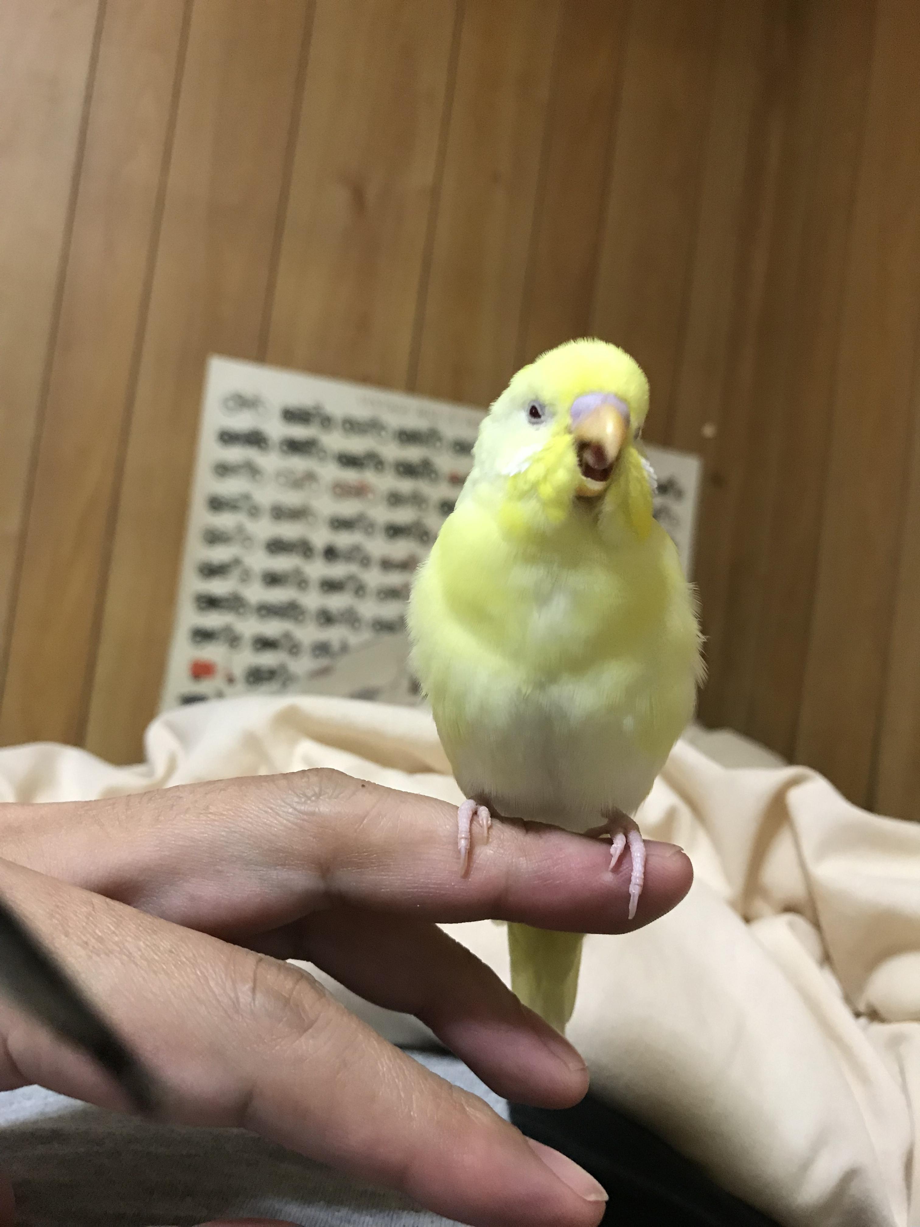 ユーザーの写真