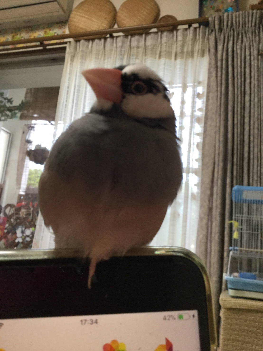 ユーザーの写真