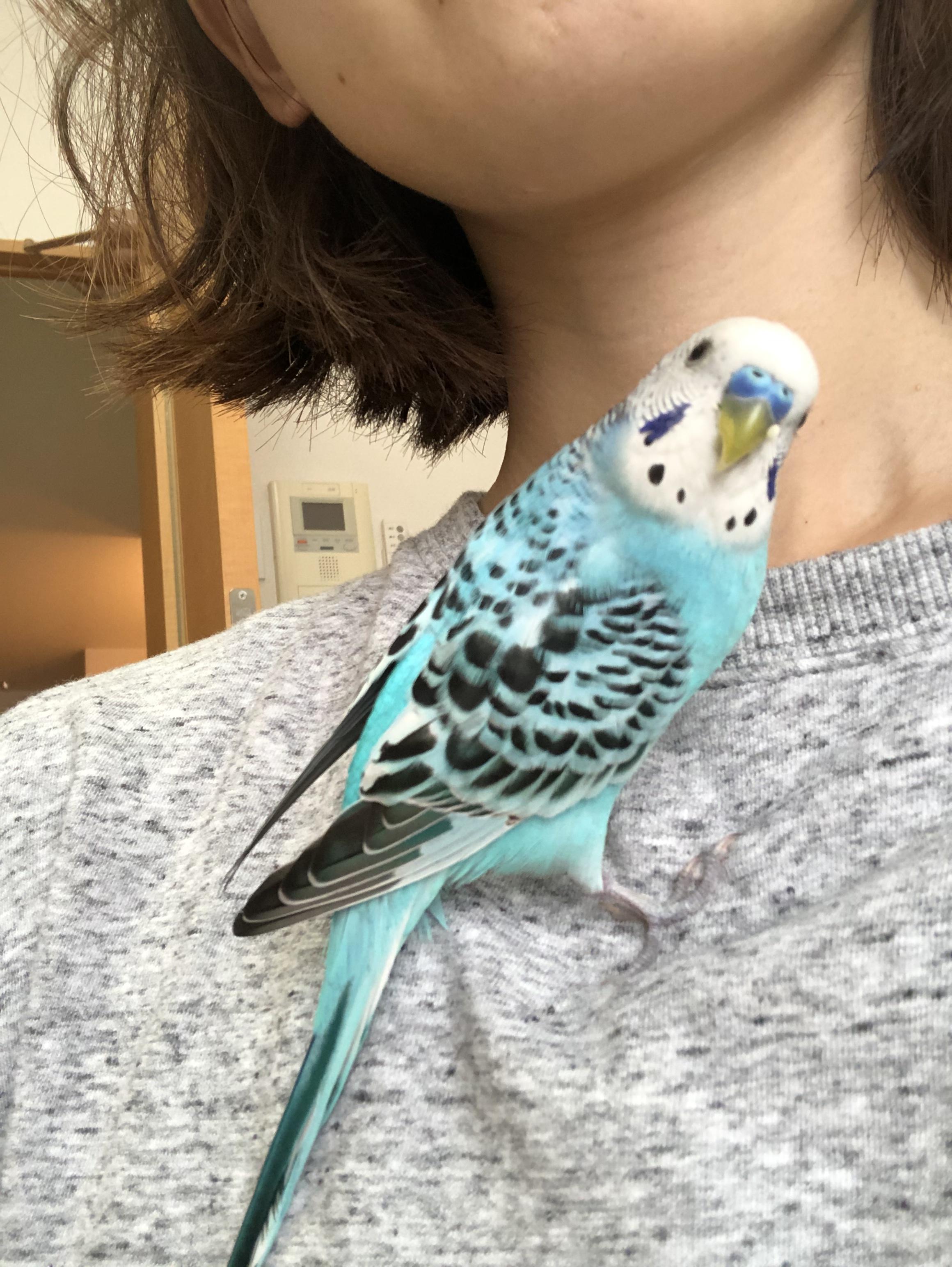 ユーザーの写真