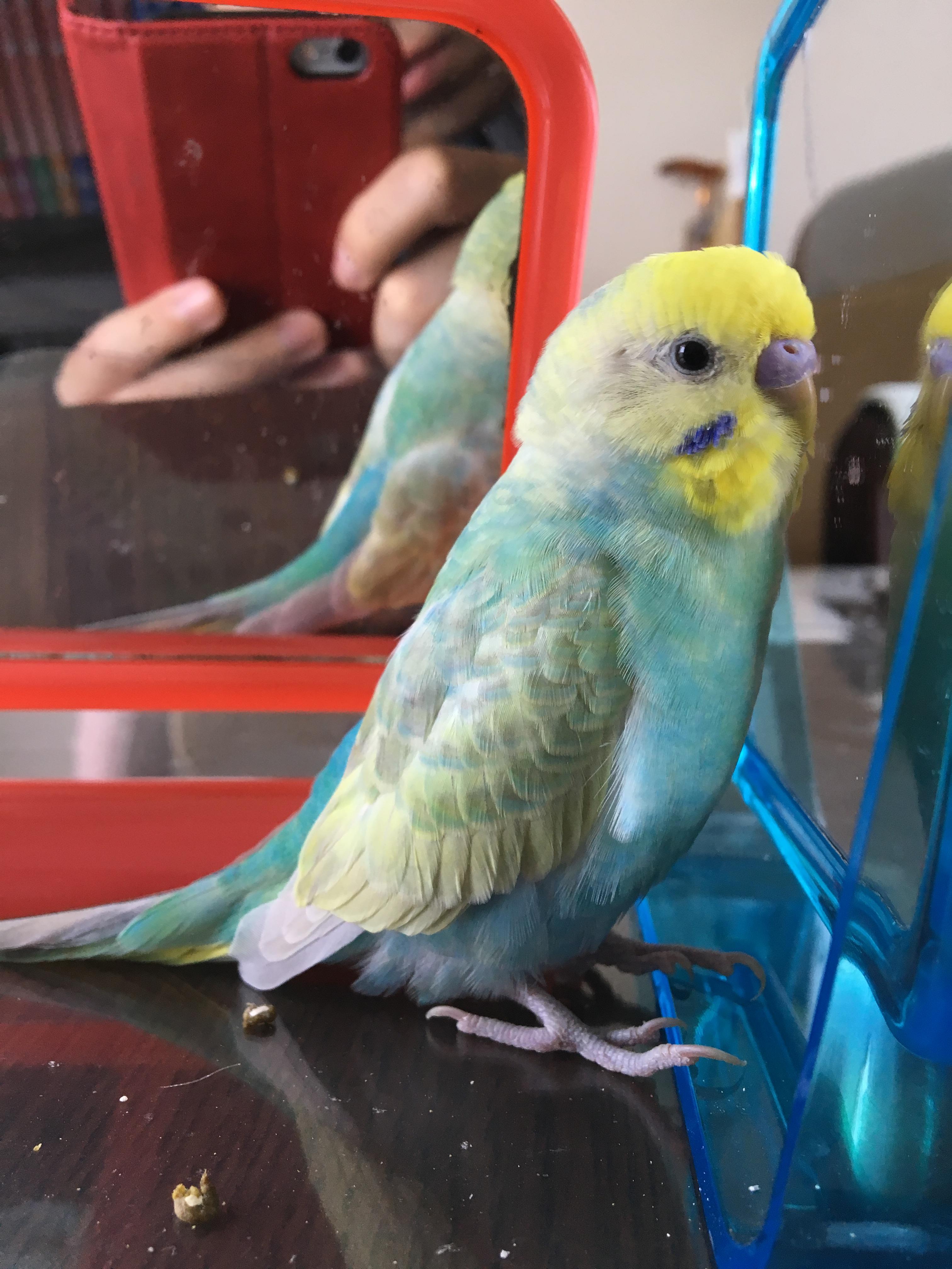 ユーザーの写真