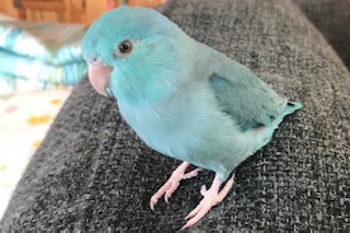 ユーザーの写真