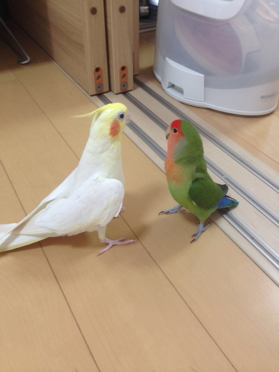 ユーザーの写真