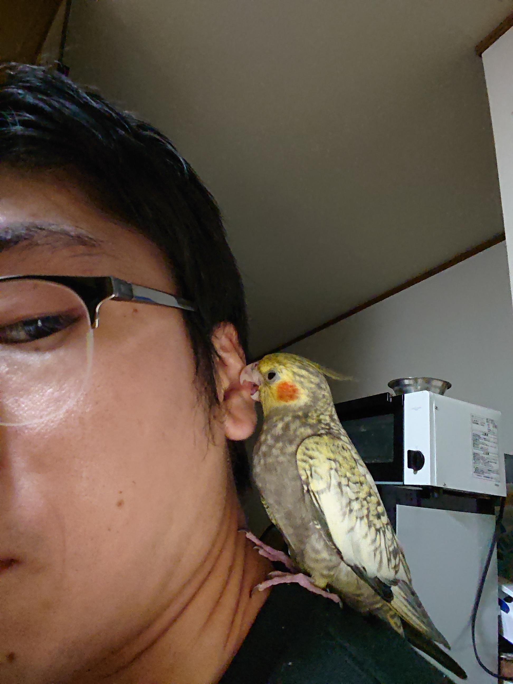 ユーザーの写真