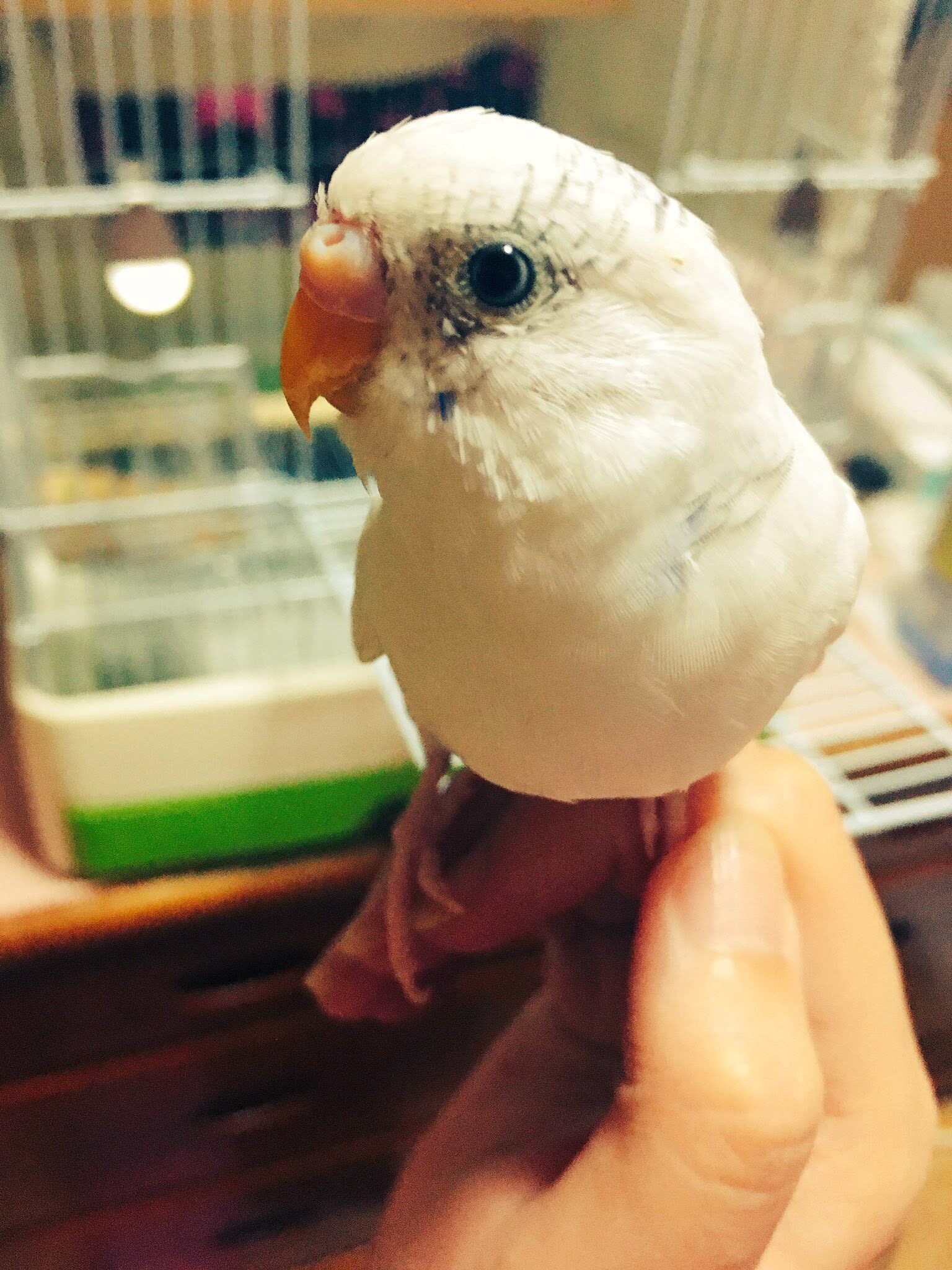ユーザーの写真