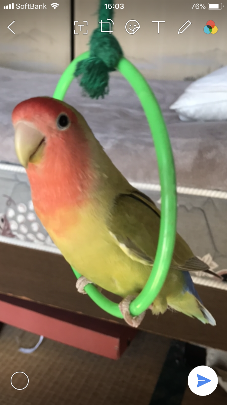 ユーザーの写真