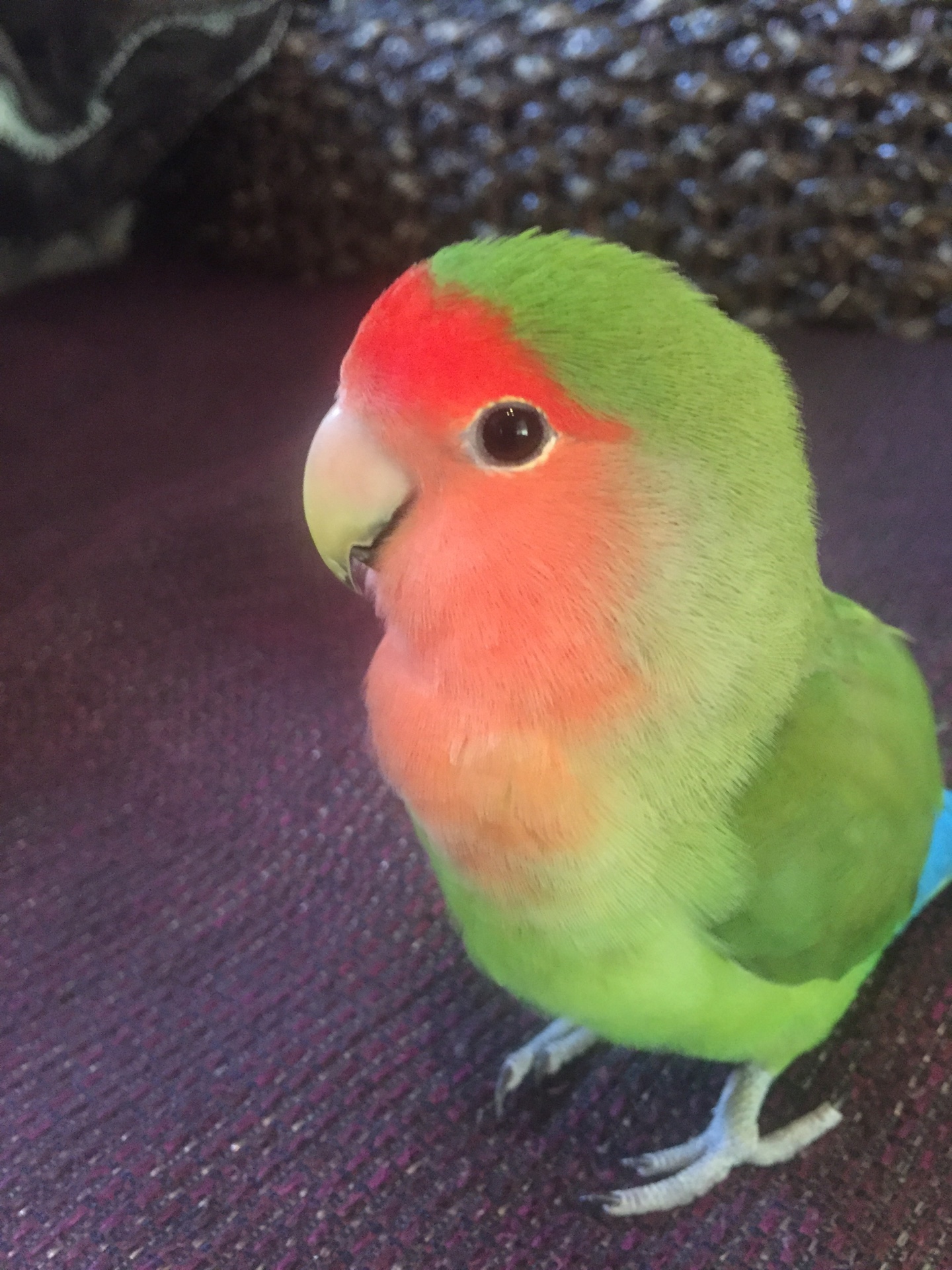 ユーザーの写真