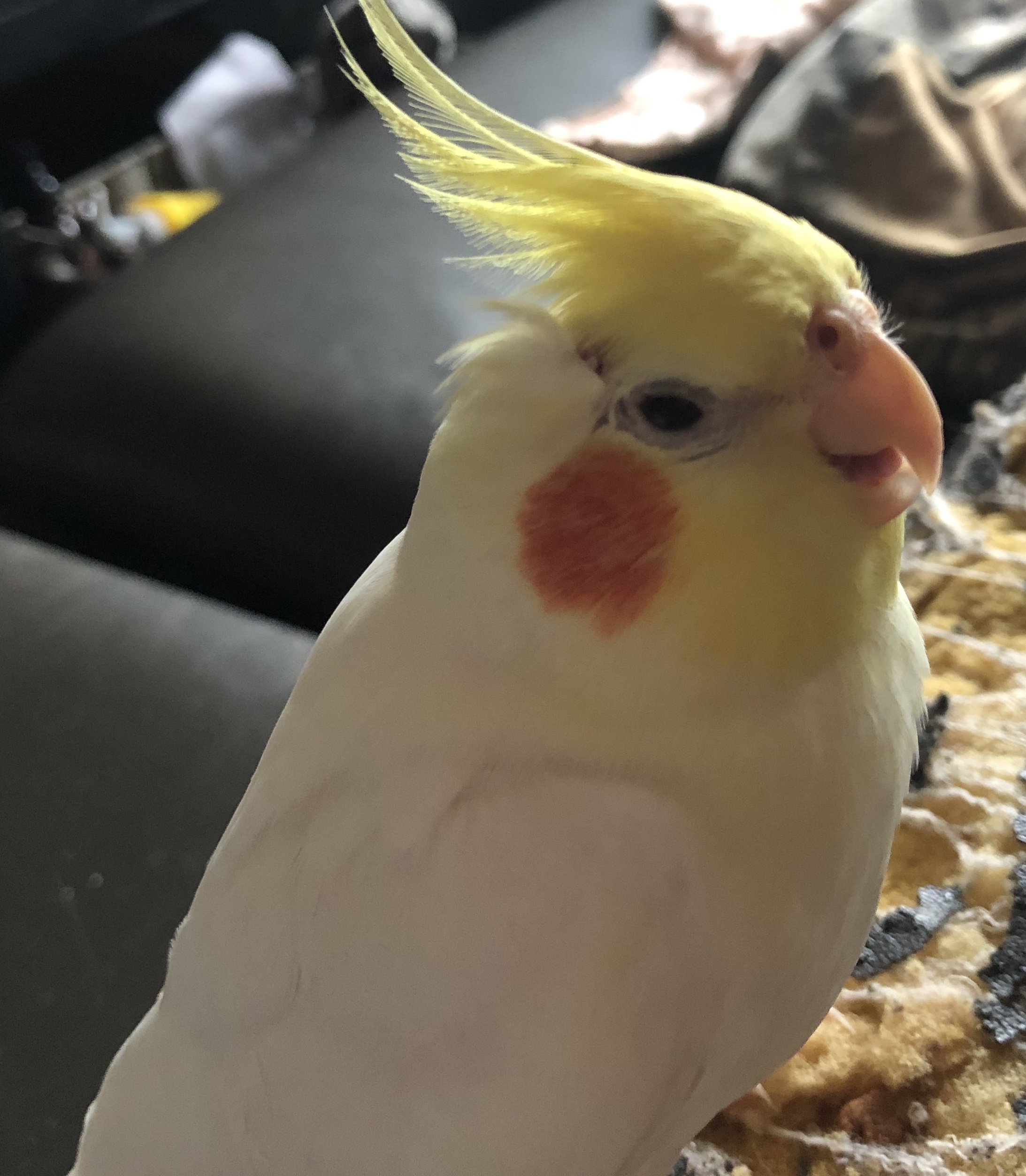 ユーザーの写真