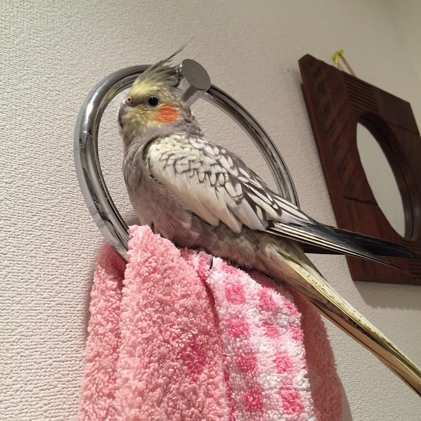 ユーザーの写真