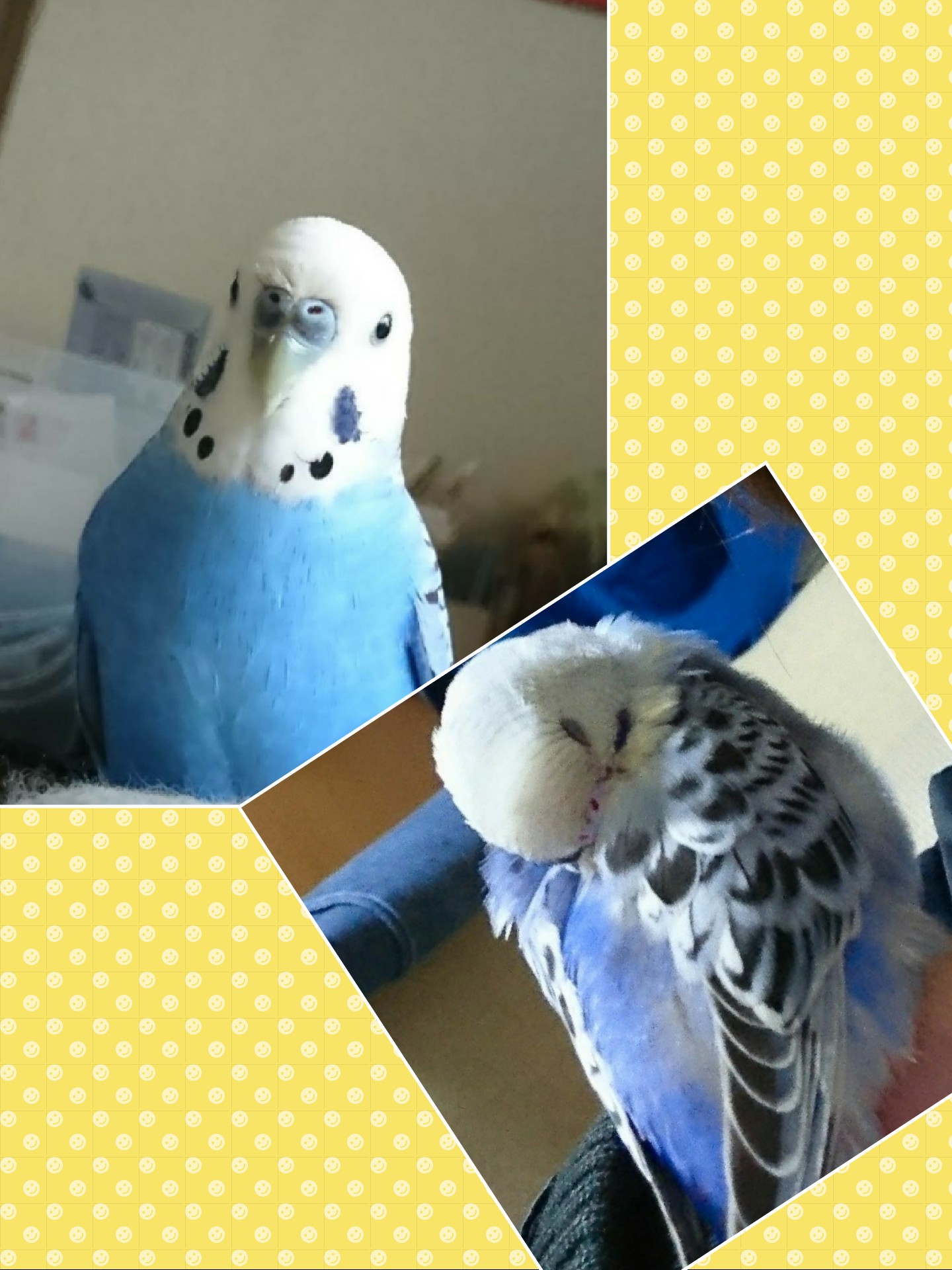 ユーザーの写真