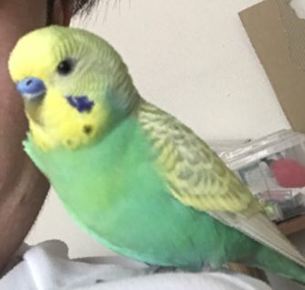 ユーザーの写真