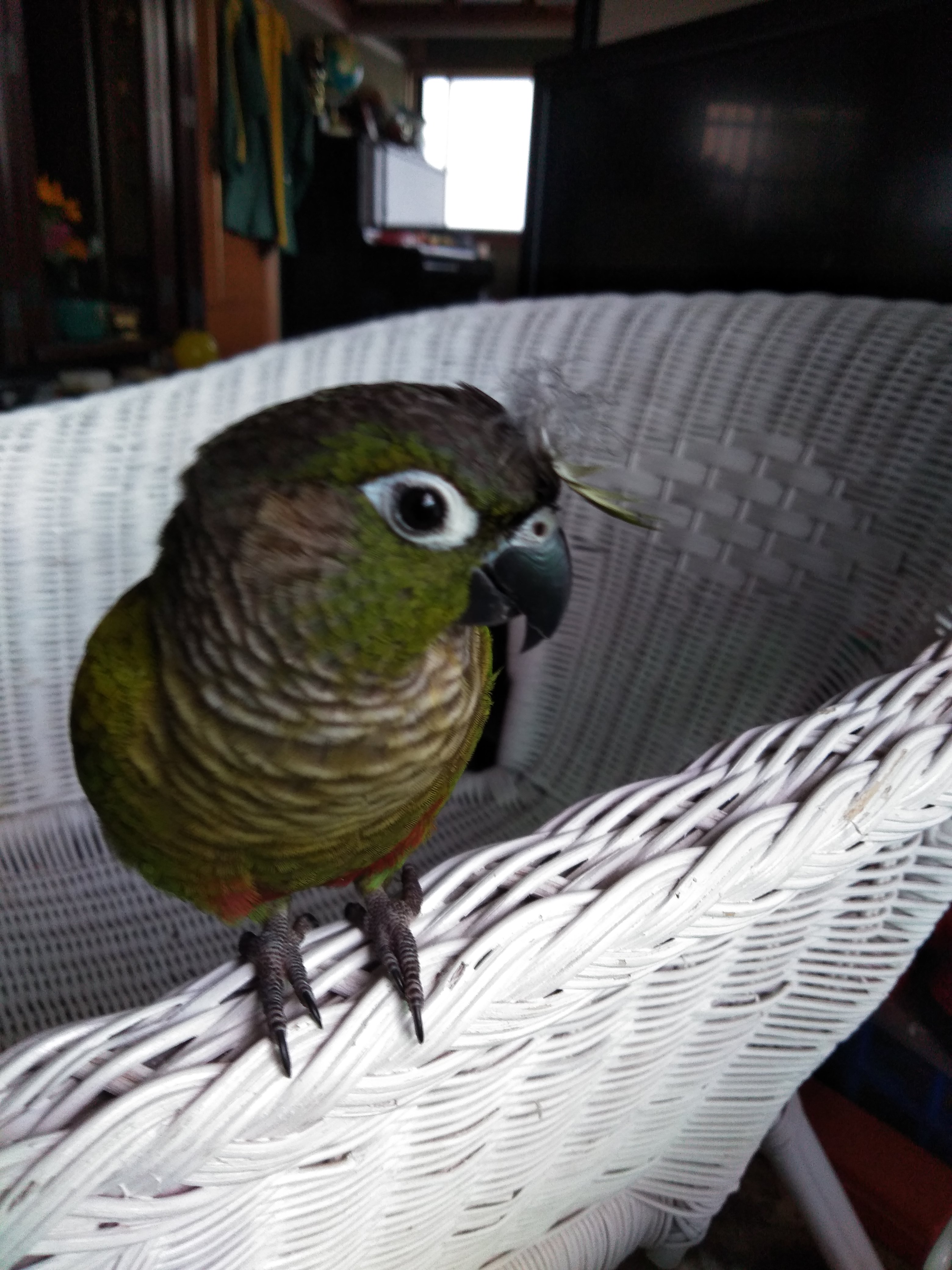 ユーザーの写真