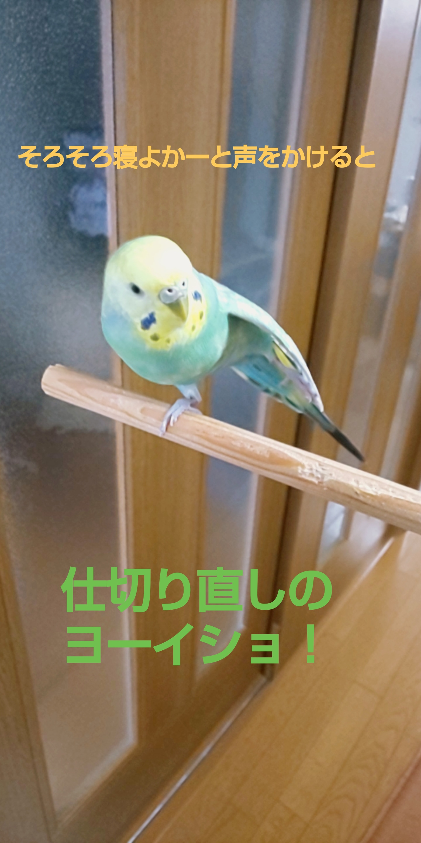 ユーザーの写真