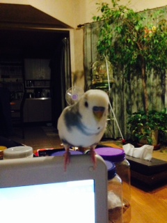 ユーザーの写真