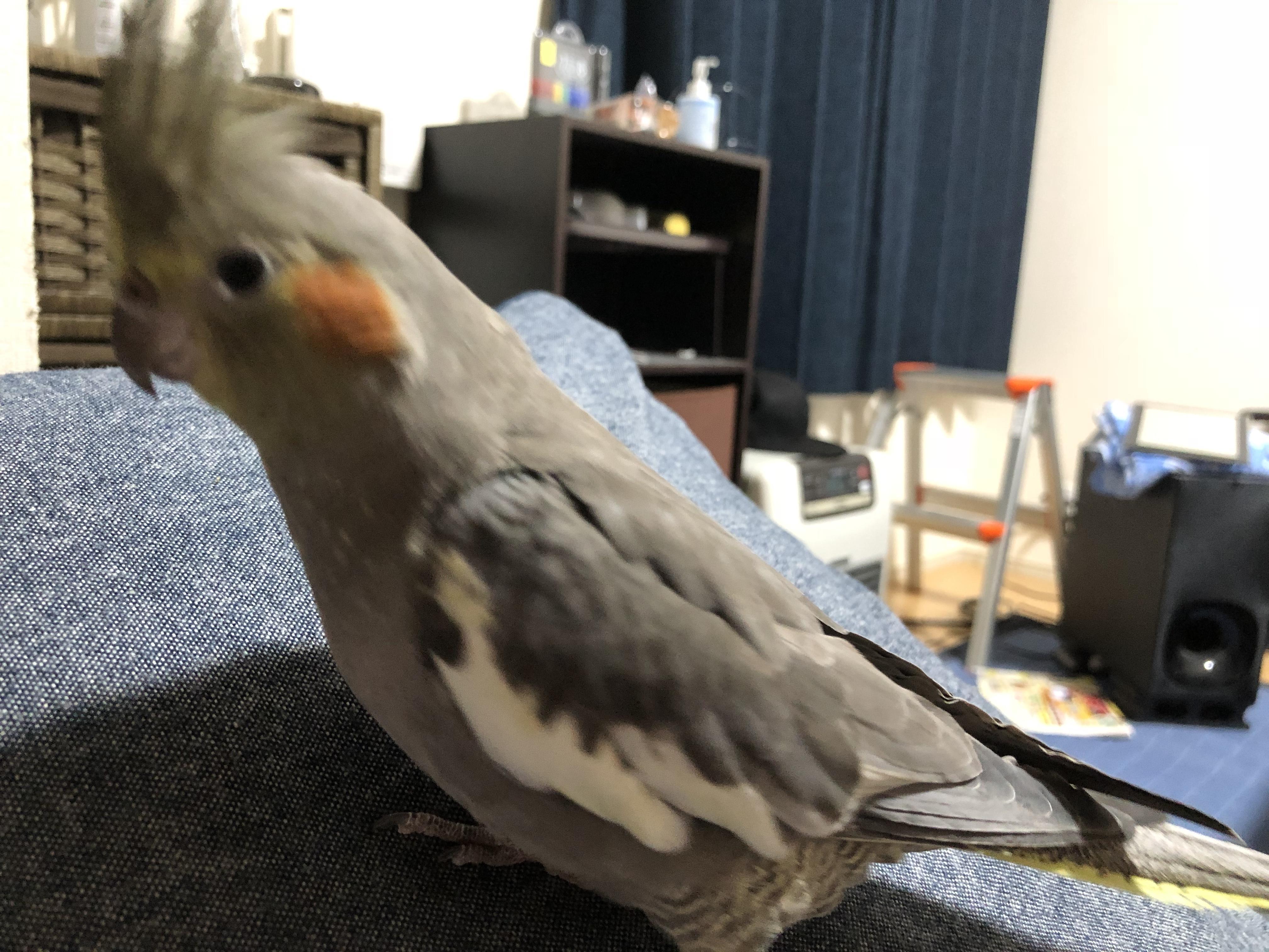 ユーザーの写真
