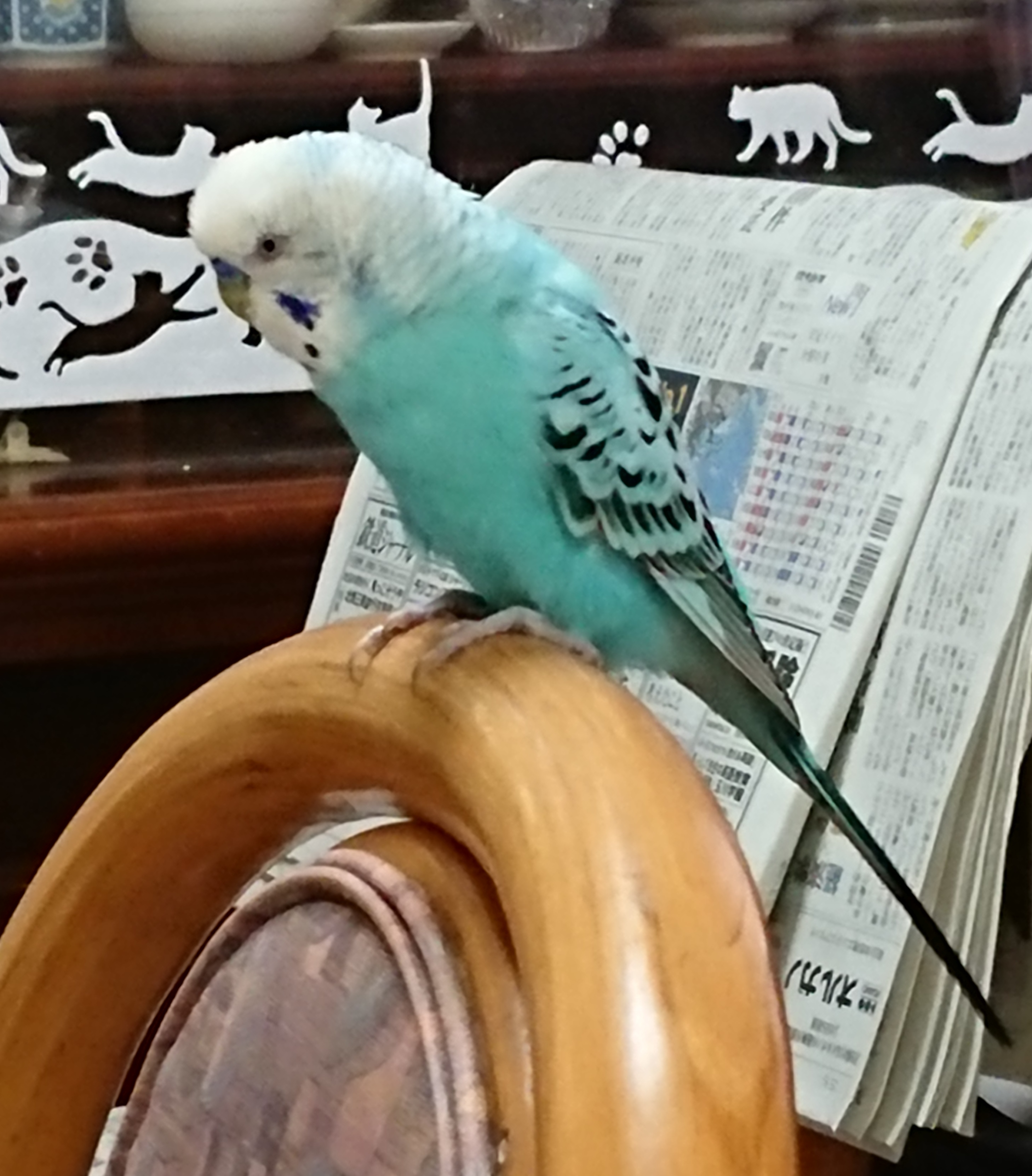 ユーザーの写真