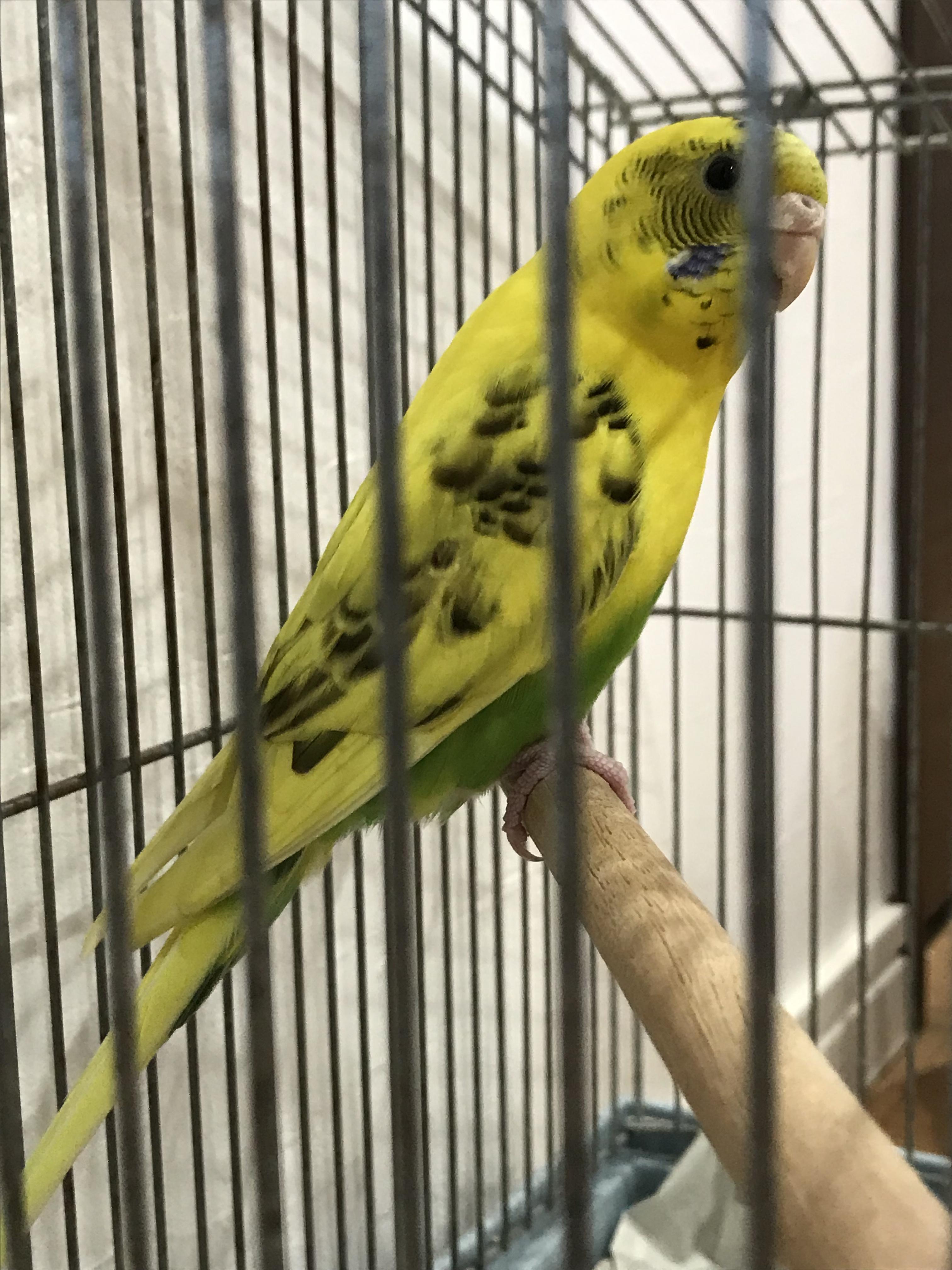 ユーザーの写真