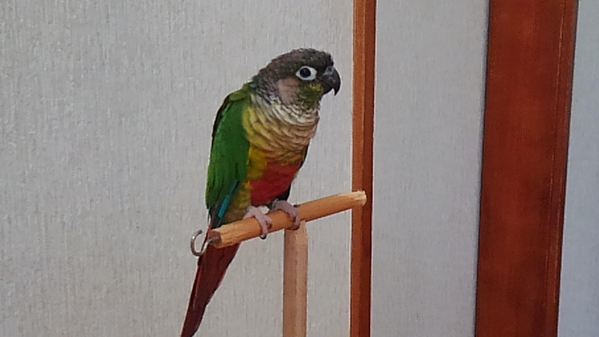 ユーザーの写真