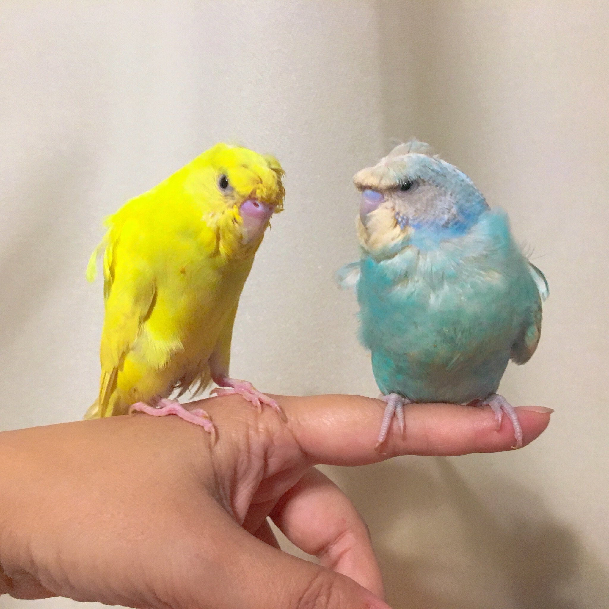 ユーザーの写真
