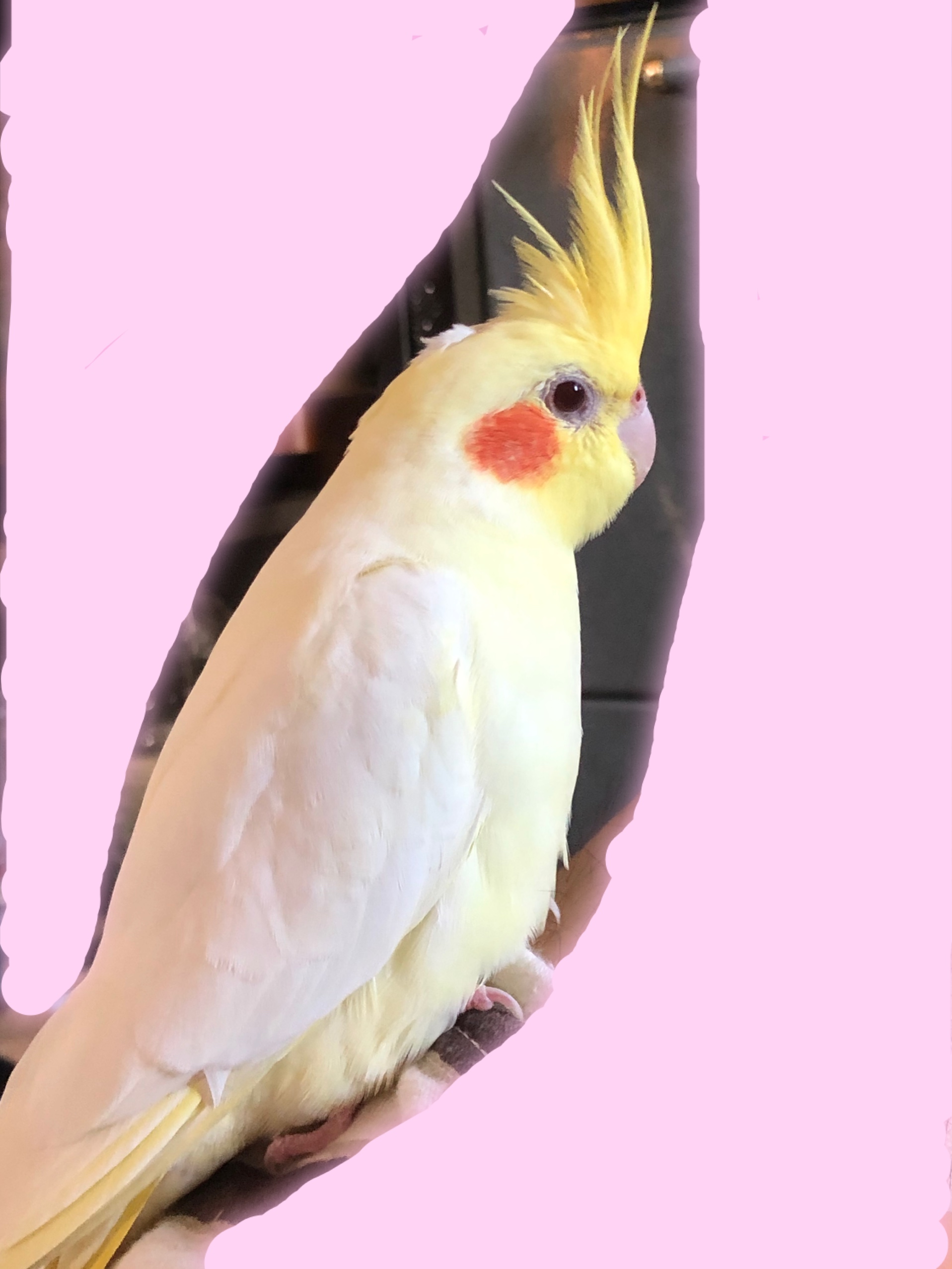 ユーザーの写真