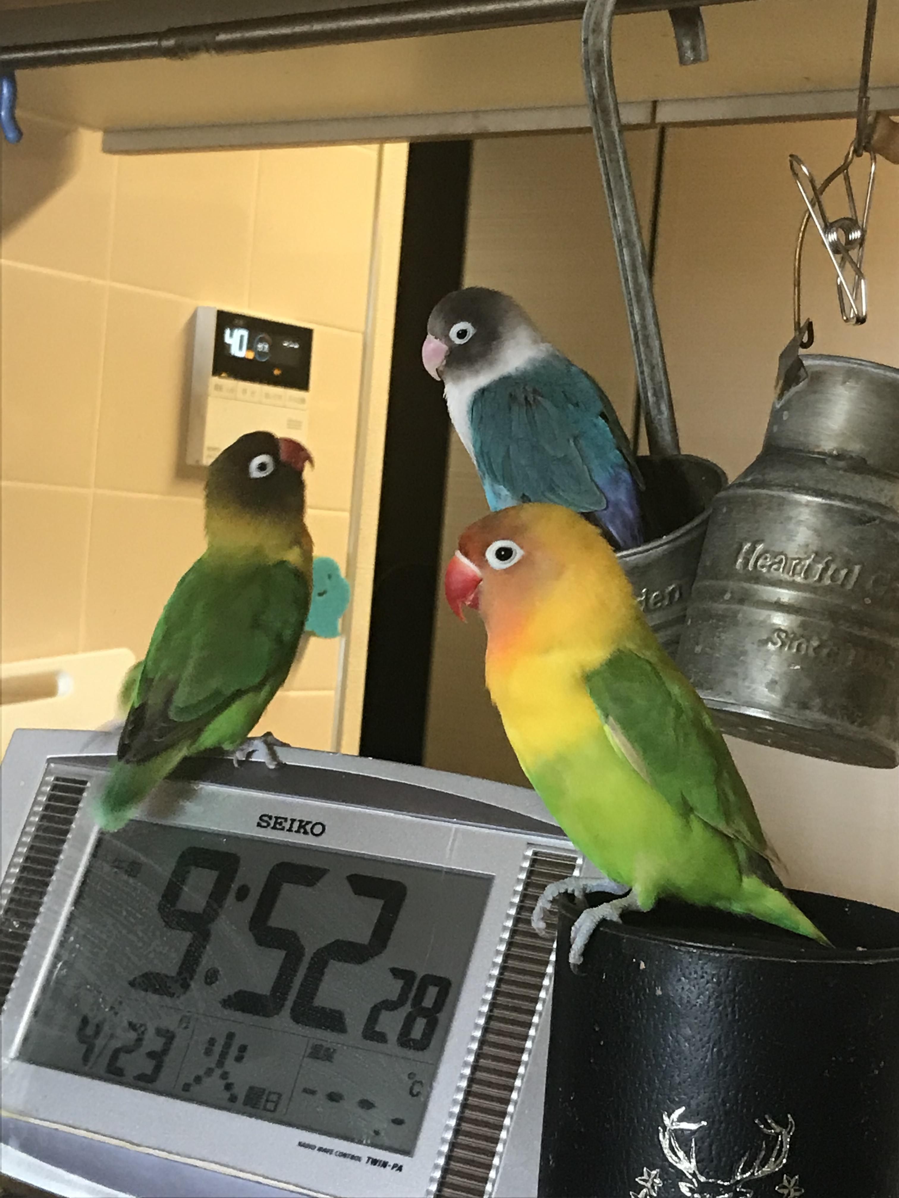 ユーザーの写真